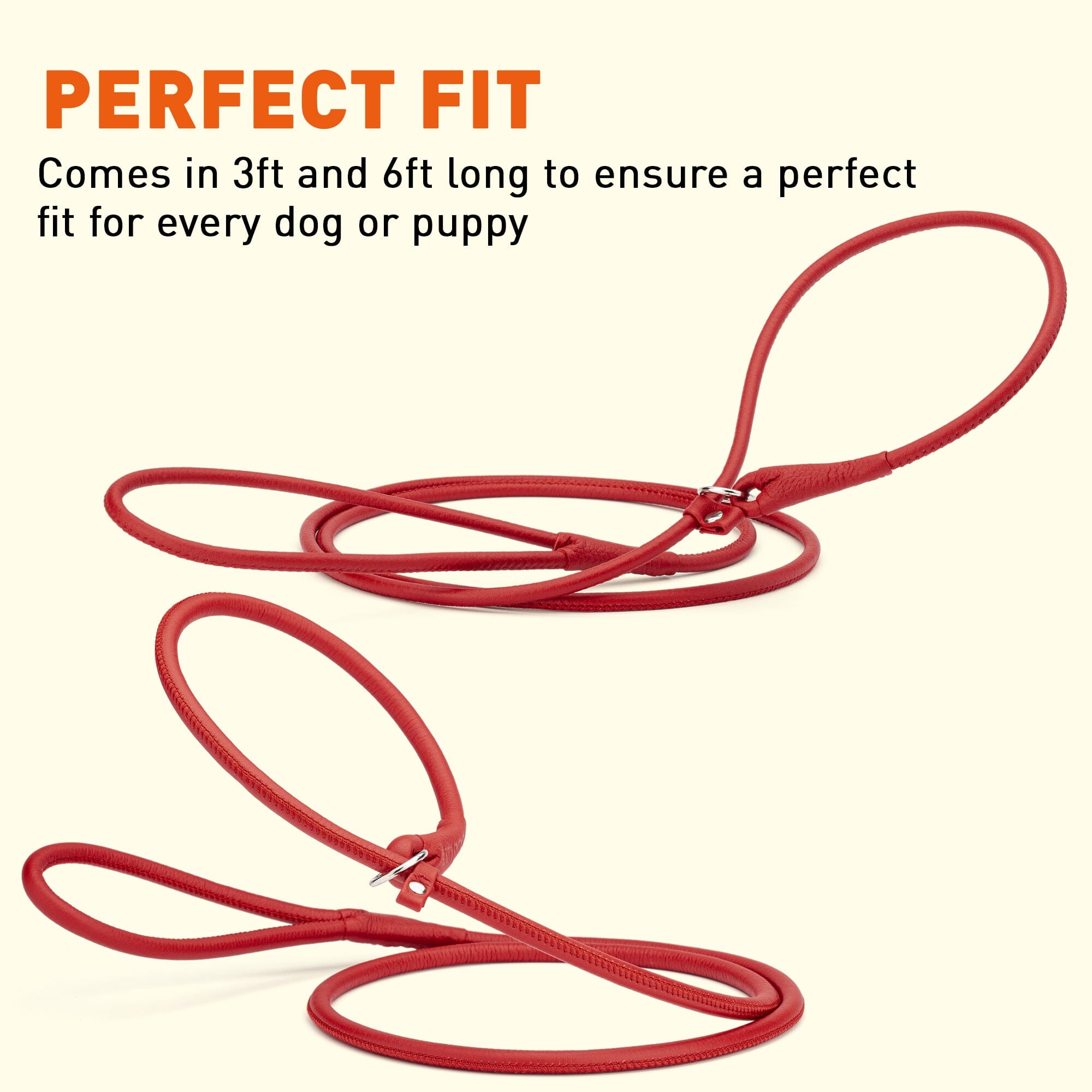 Msdfvs | Soft Leather Round Slip Lead for Dogs – Training, Urban Walks & Outdoor Adventures