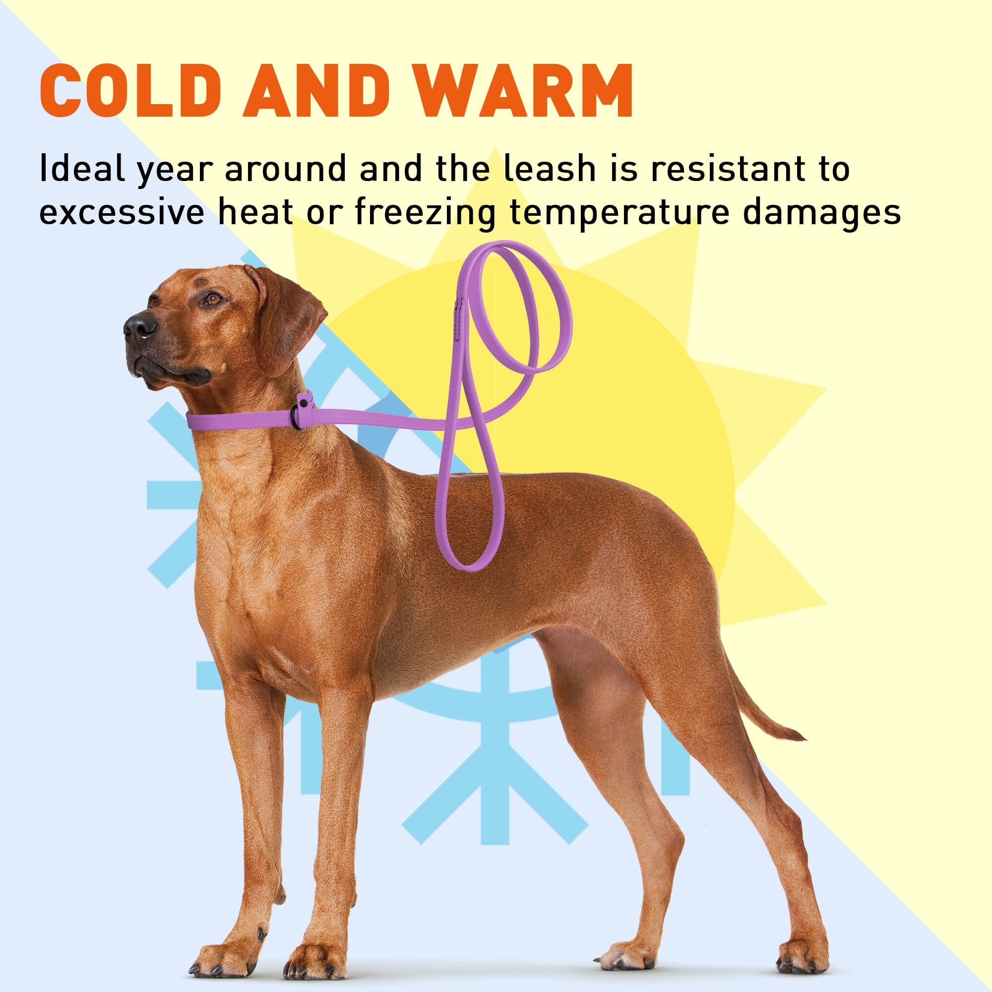 Msdfvs | Biothane Slip Lead for Dogs – 5FT & 7FT Adjustable for Training, Walking & Outdoor Adventures