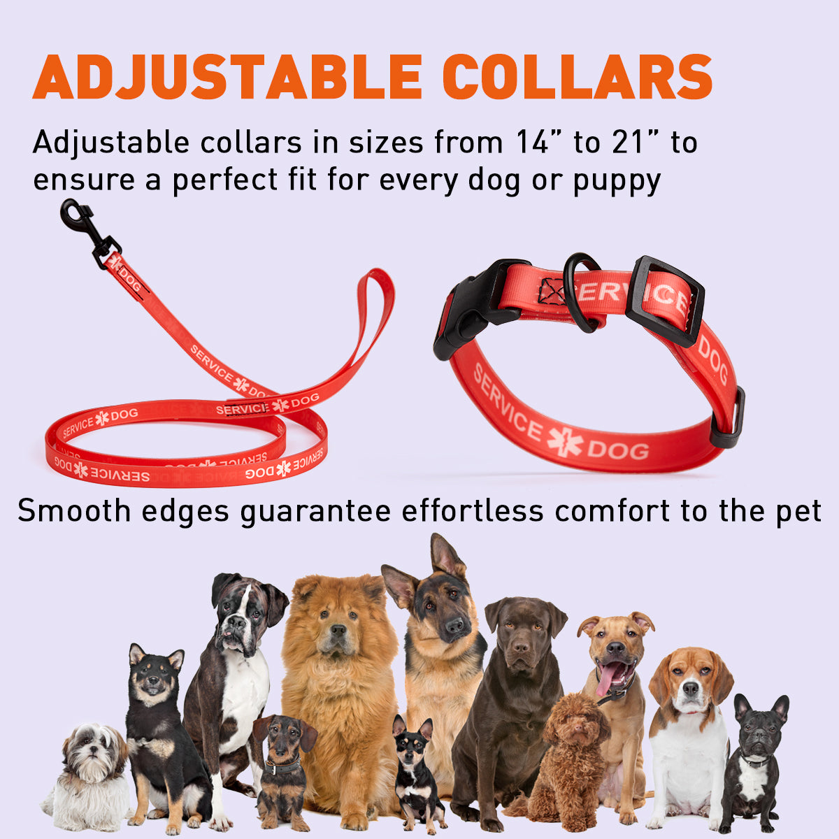 Msdfvs | Biothane Service Dog Collar or Leash – Training, Urban Control & Outdoor Adventures