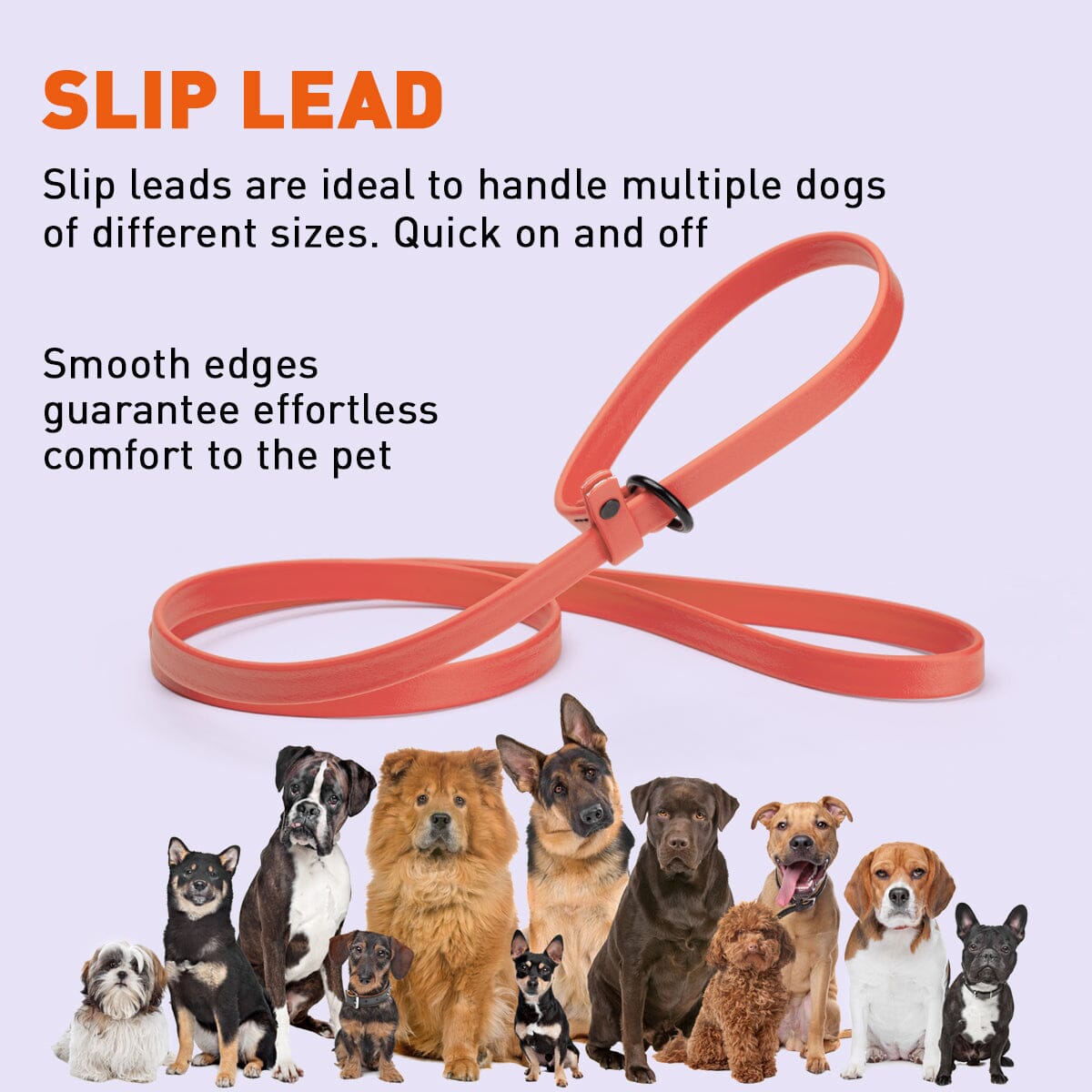Msdfvs | Biothane Slip Lead for Dogs – 5FT & 7FT Adjustable for Training, Walking & Outdoor Adventures