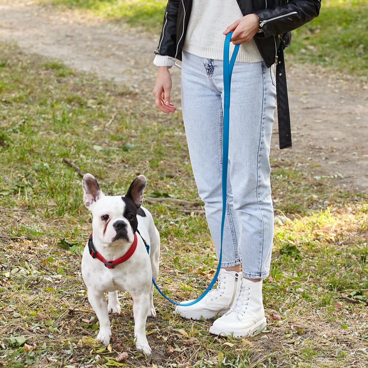 Msdfvs | 6ft Biothane Waterproof Dog Leash – Urban Walks, Outdoor Adventures & Travel Ready