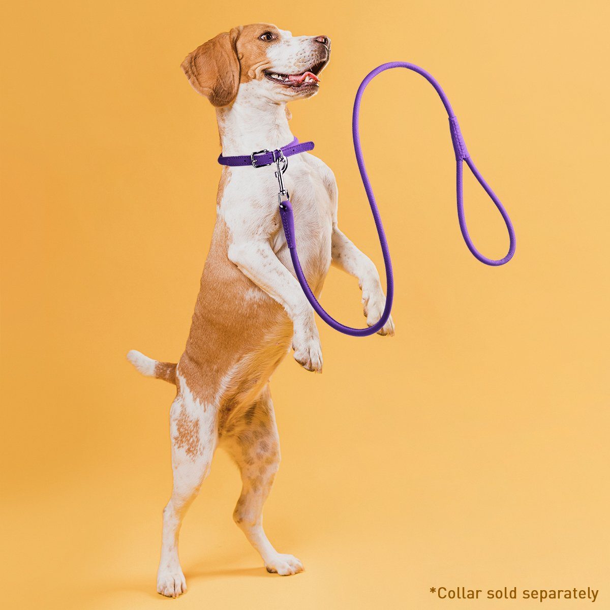 Msdfvs | Soft Leather Round Dog Lead – Urban Walks, Training & Outdoor Adventures