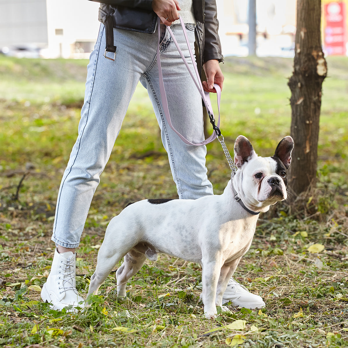 Msdfvs | Biothane Waterproof Multi-Handle Dog Leash – Training, Urban Walks & Outdoor Adventures