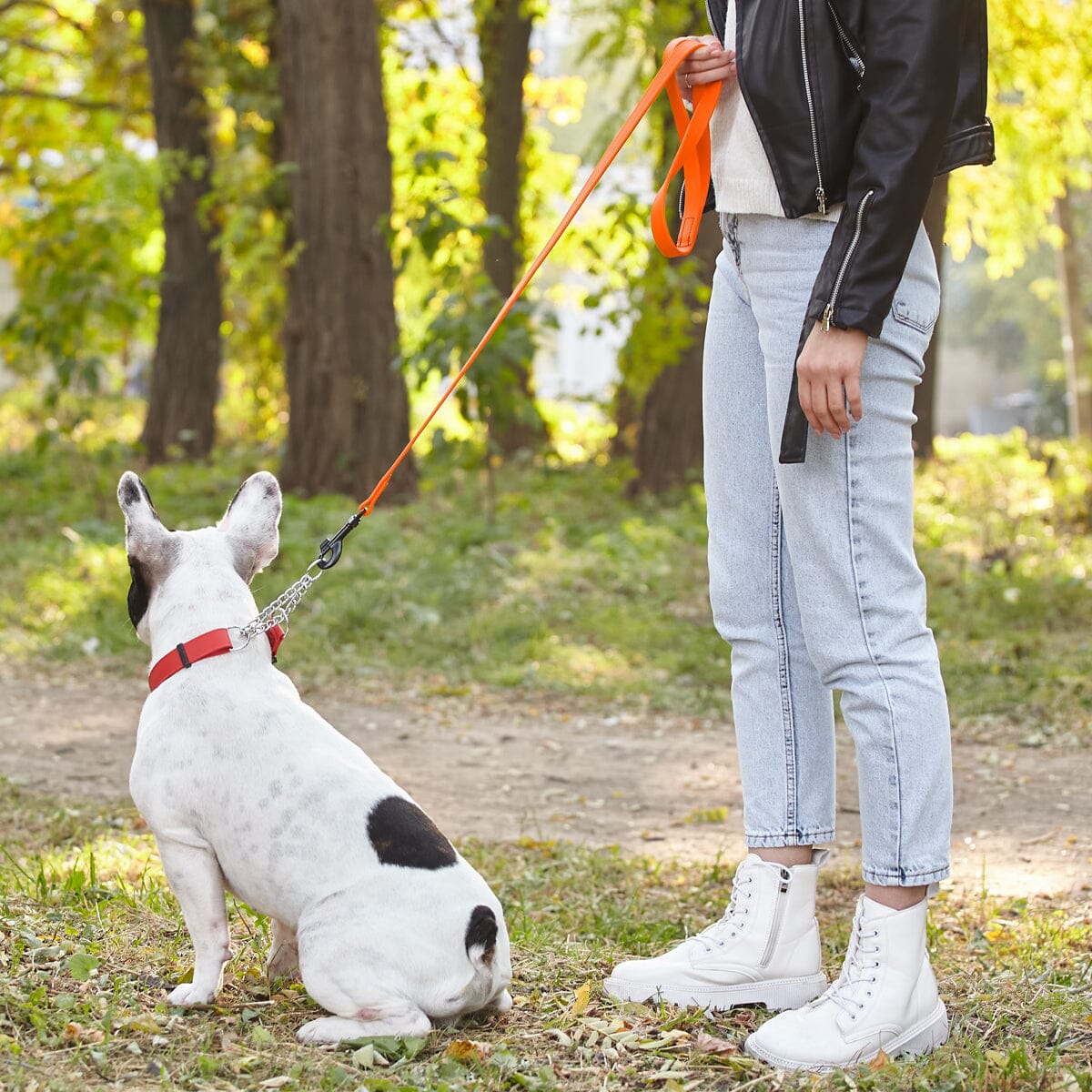 Msdfvs | 6ft Biothane Waterproof Dog Leash – Urban Walks, Outdoor Adventures & Travel Ready