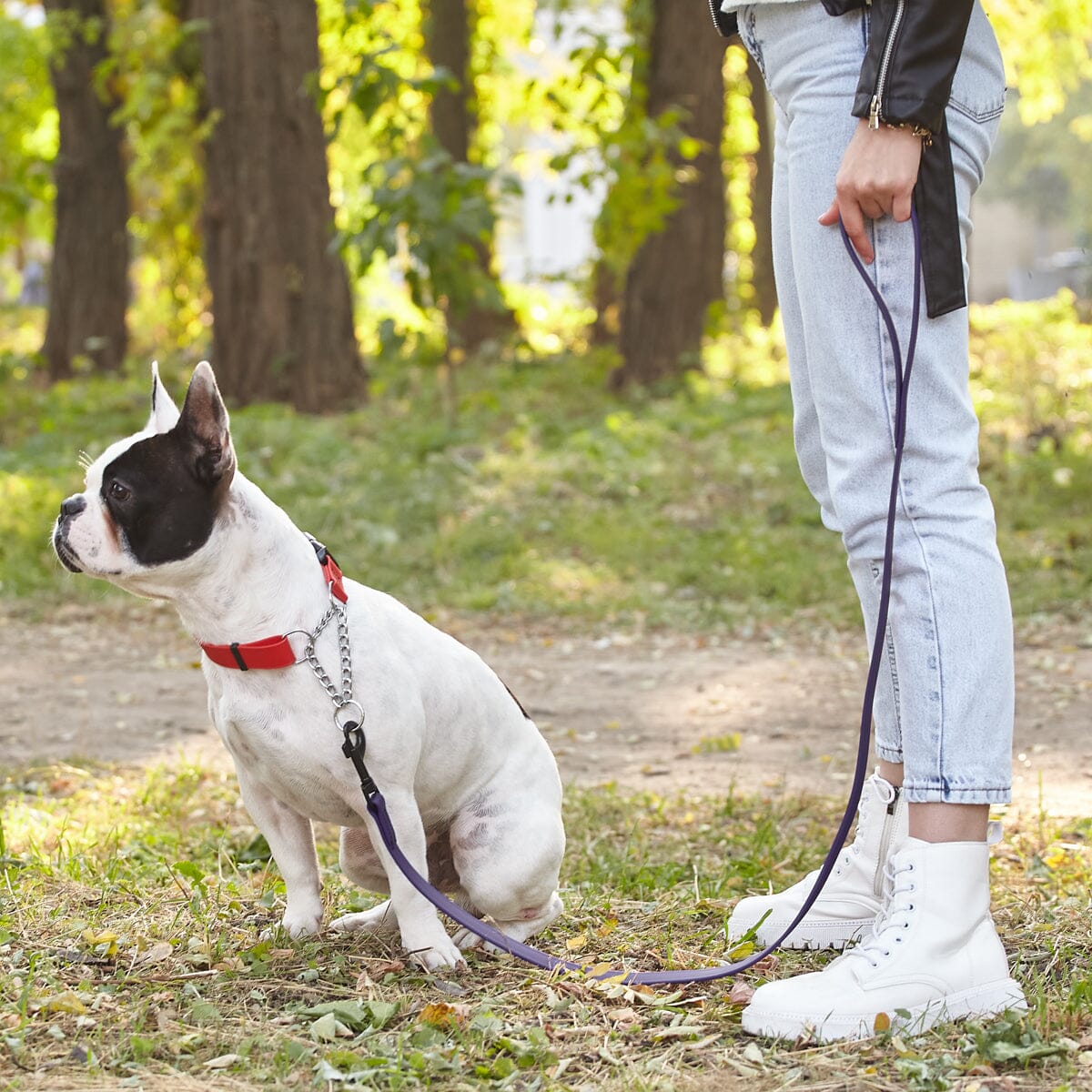 Msdfvs | 6ft Biothane Waterproof Dog Leash – Urban Walks, Outdoor Adventures & Travel Ready
