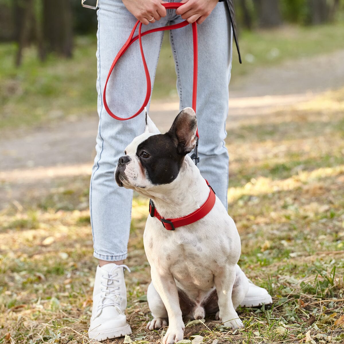 Msdfvs | 6ft Biothane Waterproof Dog Leash – Urban Walks, Outdoor Adventures & Travel Ready