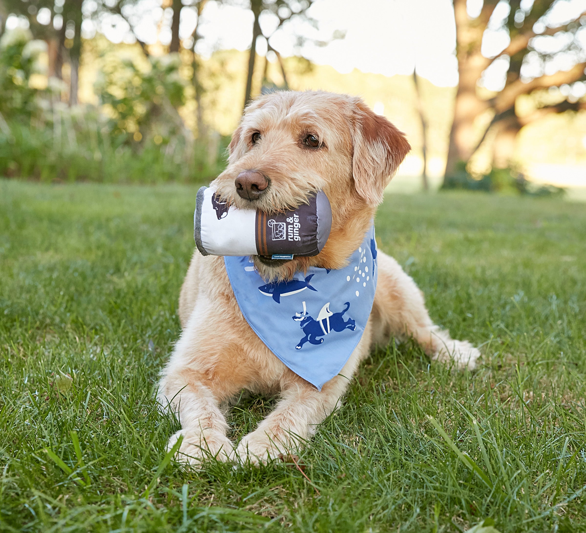 Msdfvs | Shark-Pattern Dog Bandana for Small & Medium Dogs – Stylish Pet Accessory, Comfortable Fit