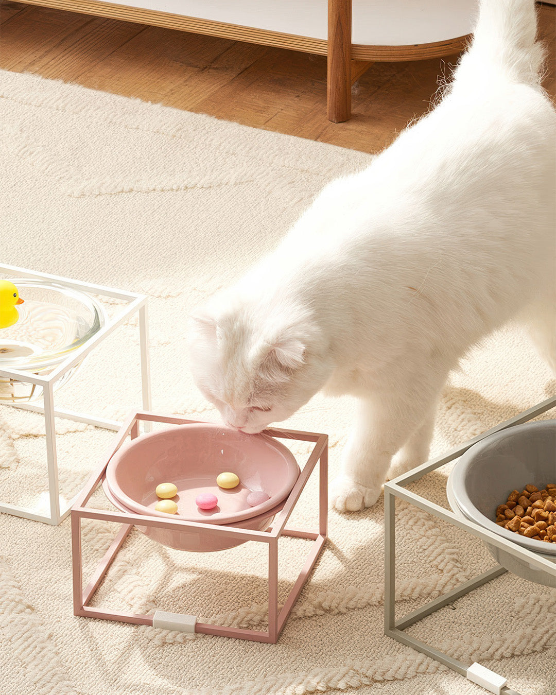 Msdfvs | Compact Pet Dining Set for Small Indoor Feeding Spaces
