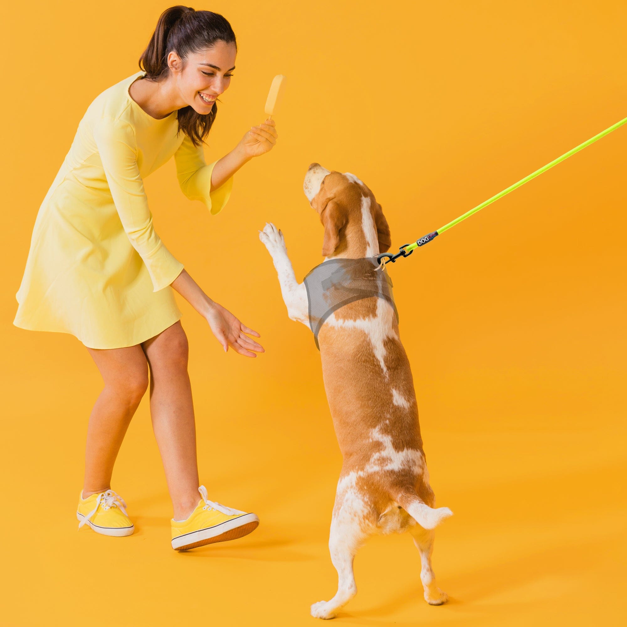 Msdfvs | Round Nylon Dog Lead for Small & Medium Dogs – Durable Everyday Pet Leash, Comfortable Grip