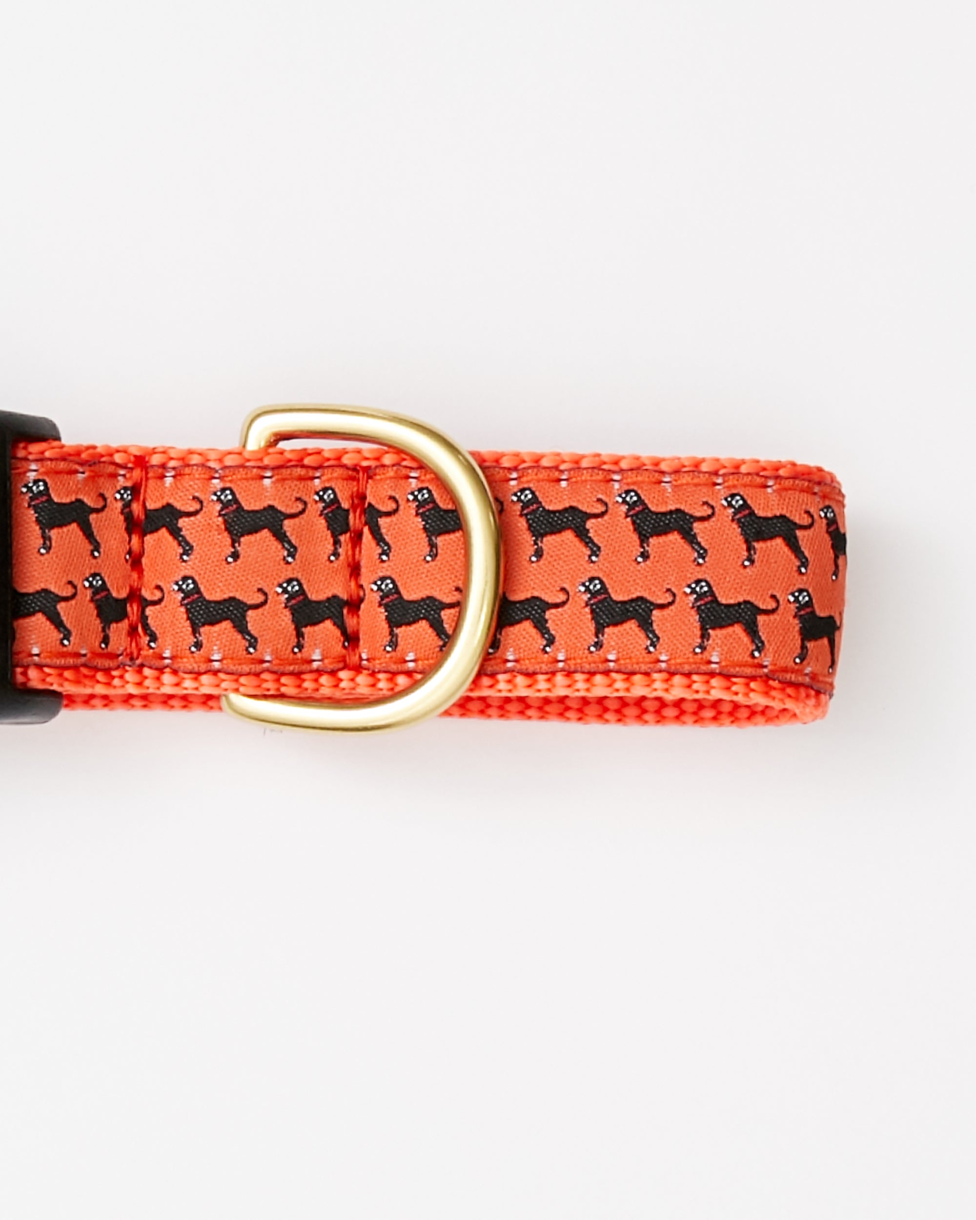 sdfvs | Mini Dog Print Collar for Small & Medium Dogs – Everyday Wear, Outdoor Fun & Social Style