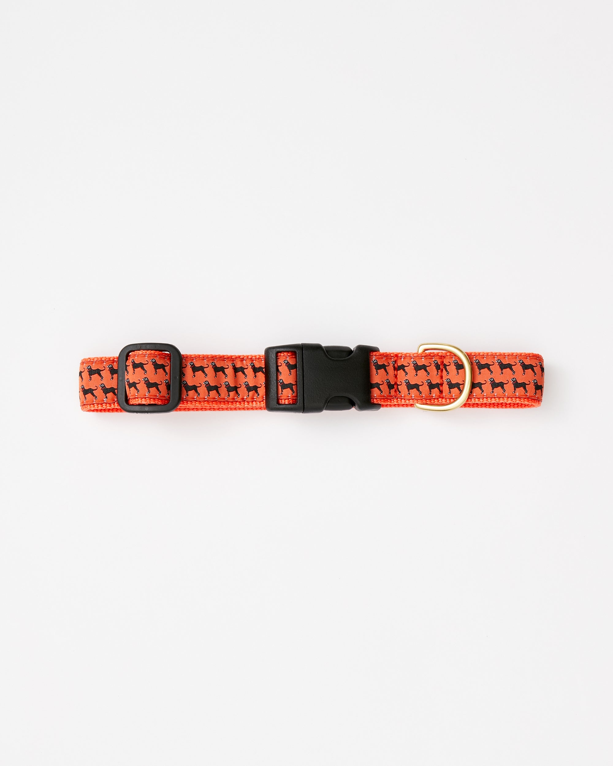 sdfvs | Mini Dog Print Collar for Small & Medium Dogs – Everyday Wear, Outdoor Fun & Social Style