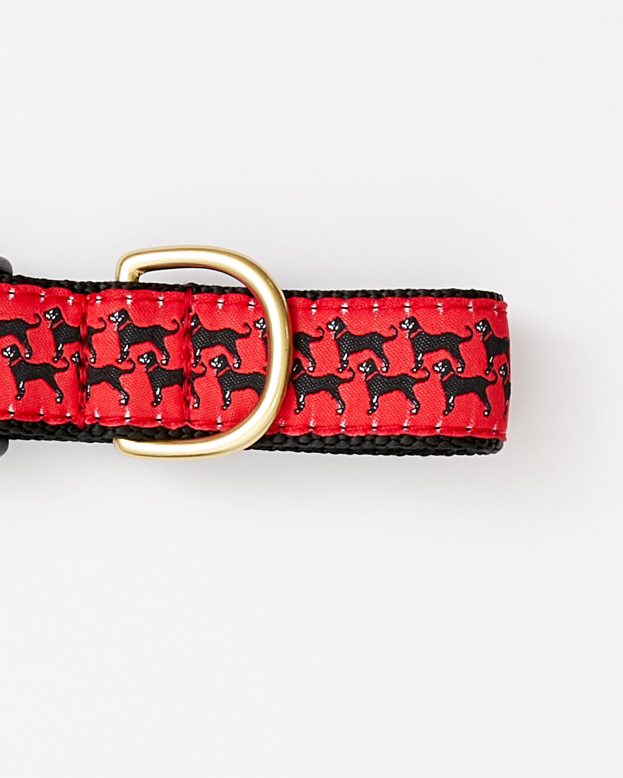 sdfvs | Mini Dog Print Collar for Small & Medium Dogs – Everyday Wear, Outdoor Fun & Social Style