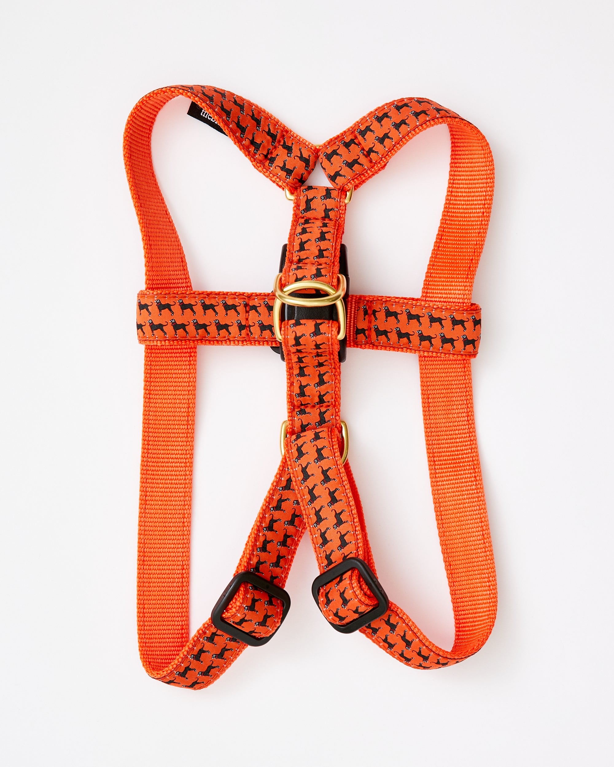 Msdfvs | Mini Dog Print Harness for Small & Medium Dogs – Training, Walks & Outdoor Fun