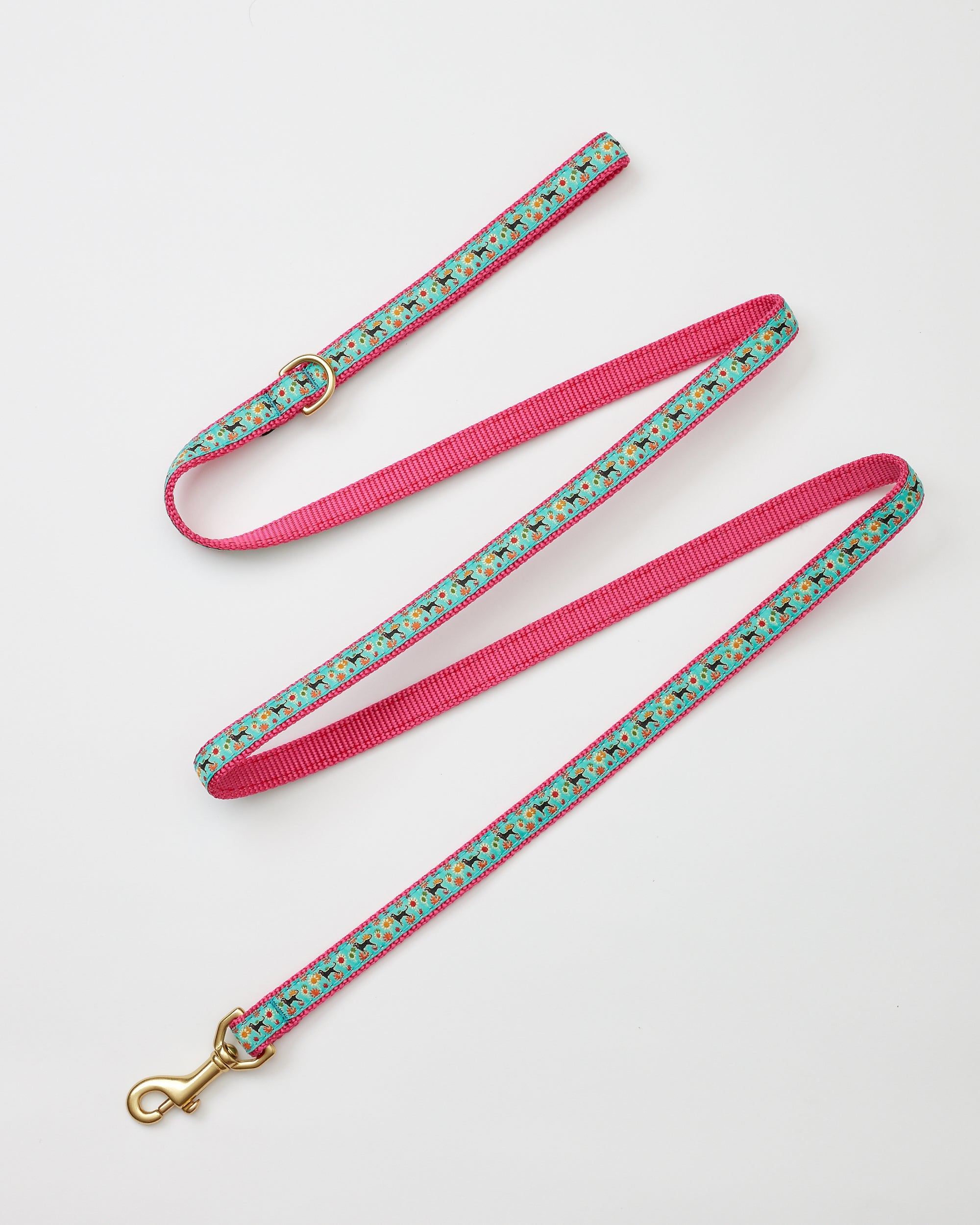 Msdfvs | Flower Power Narrow Dog Leash – Stylish Daily Walks, Training & Outdoor Adventures