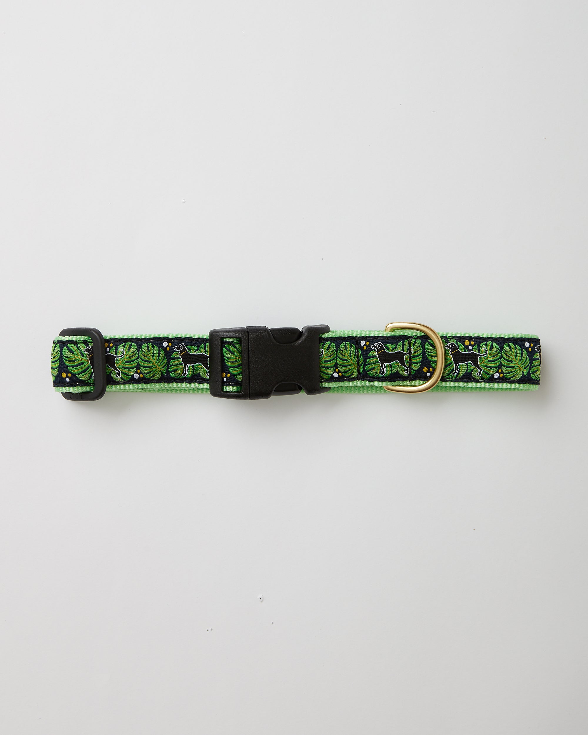 Msdfvs | Tropical-Pattern Dog Collar for Small & Medium Dogs – Adjustable Everyday Pet Collar, Durable & Stylish