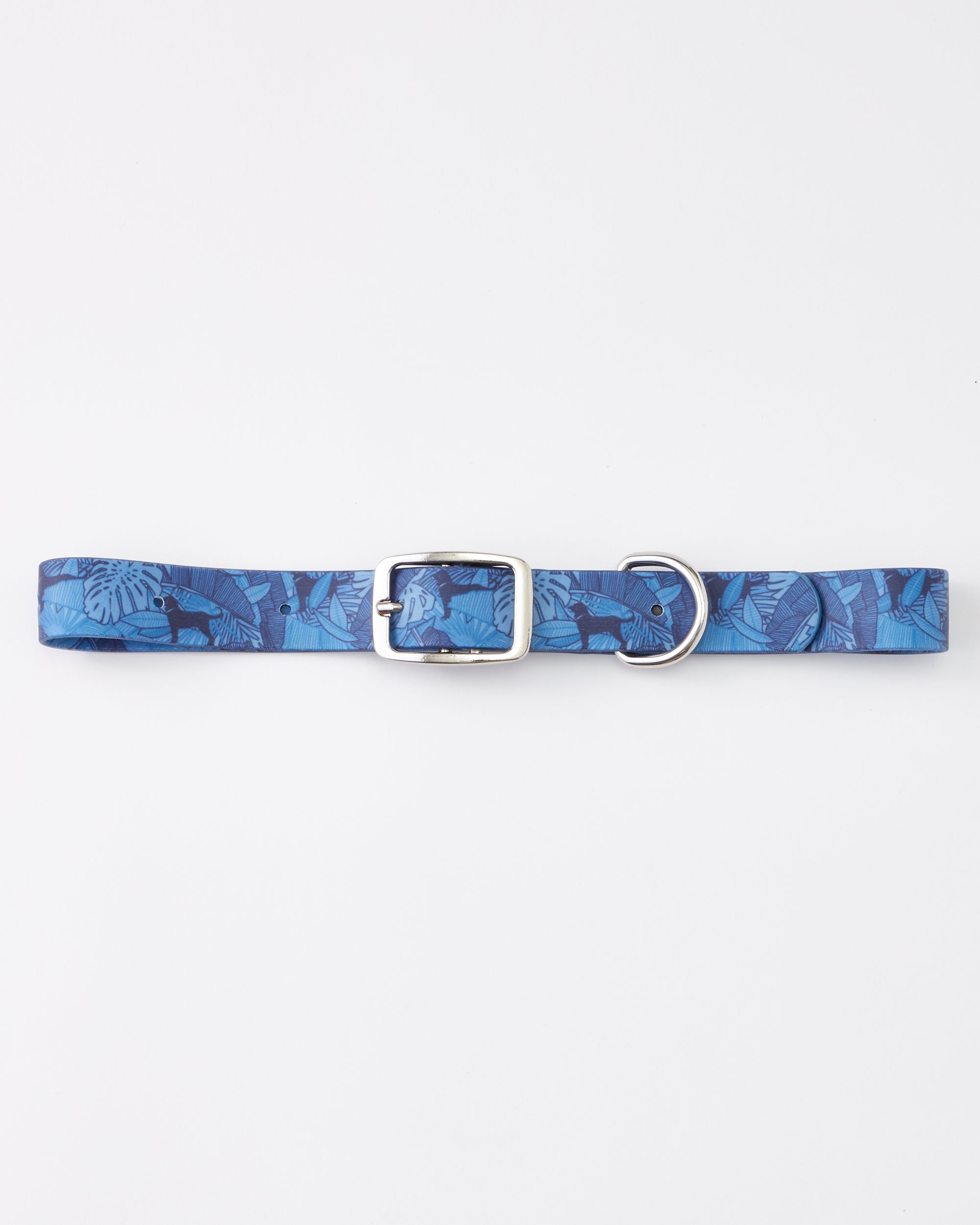 Msdfvs | Waterproof Nylon Dog Collar for Small & Medium Dogs – Durable Adjustable Pet Collar, Outdoor Ready