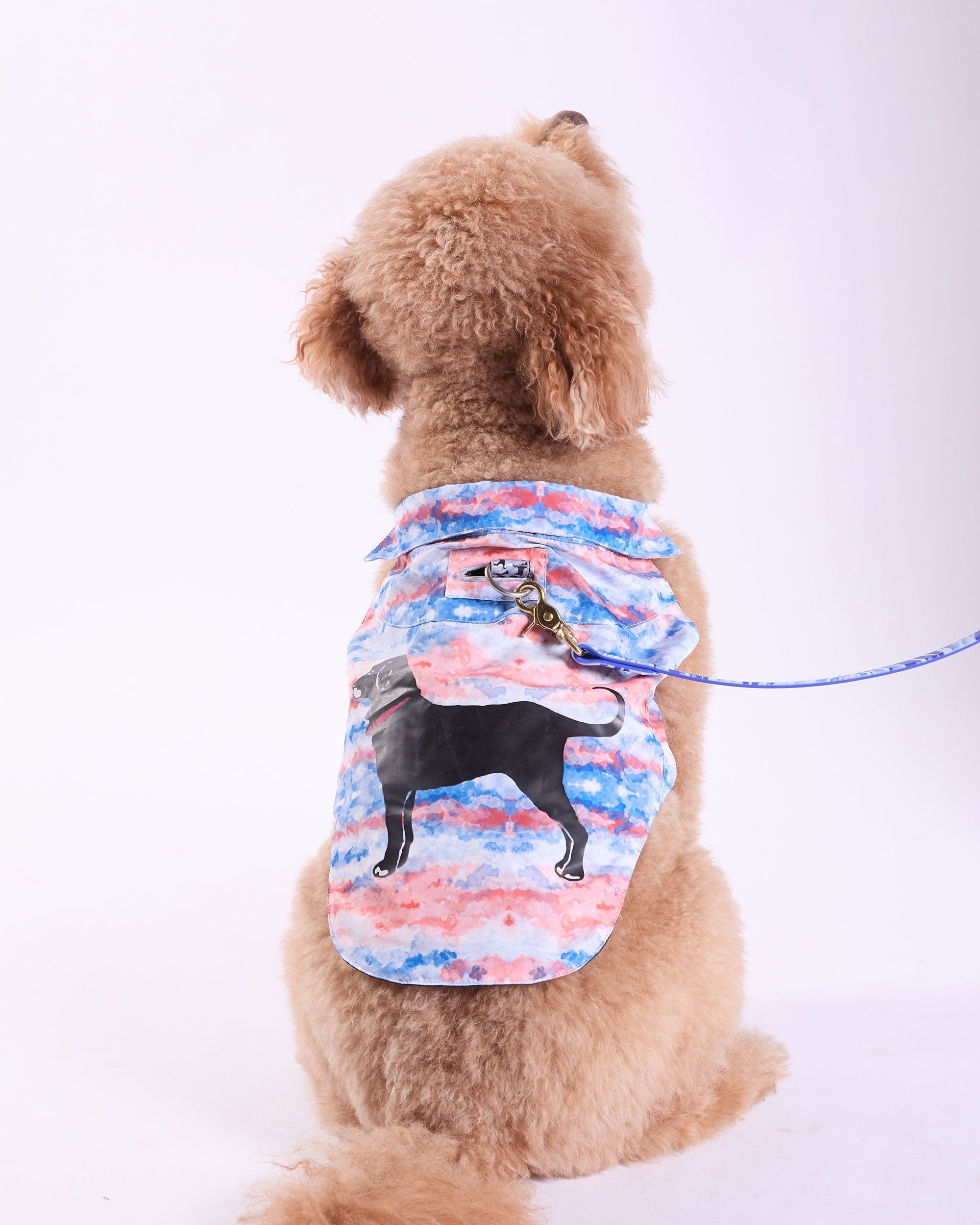 Msdfvs | Americana-Style Dog Tee for Small & Medium Dogs – Comfortable Everyday Pet Shirt, Easy-Care