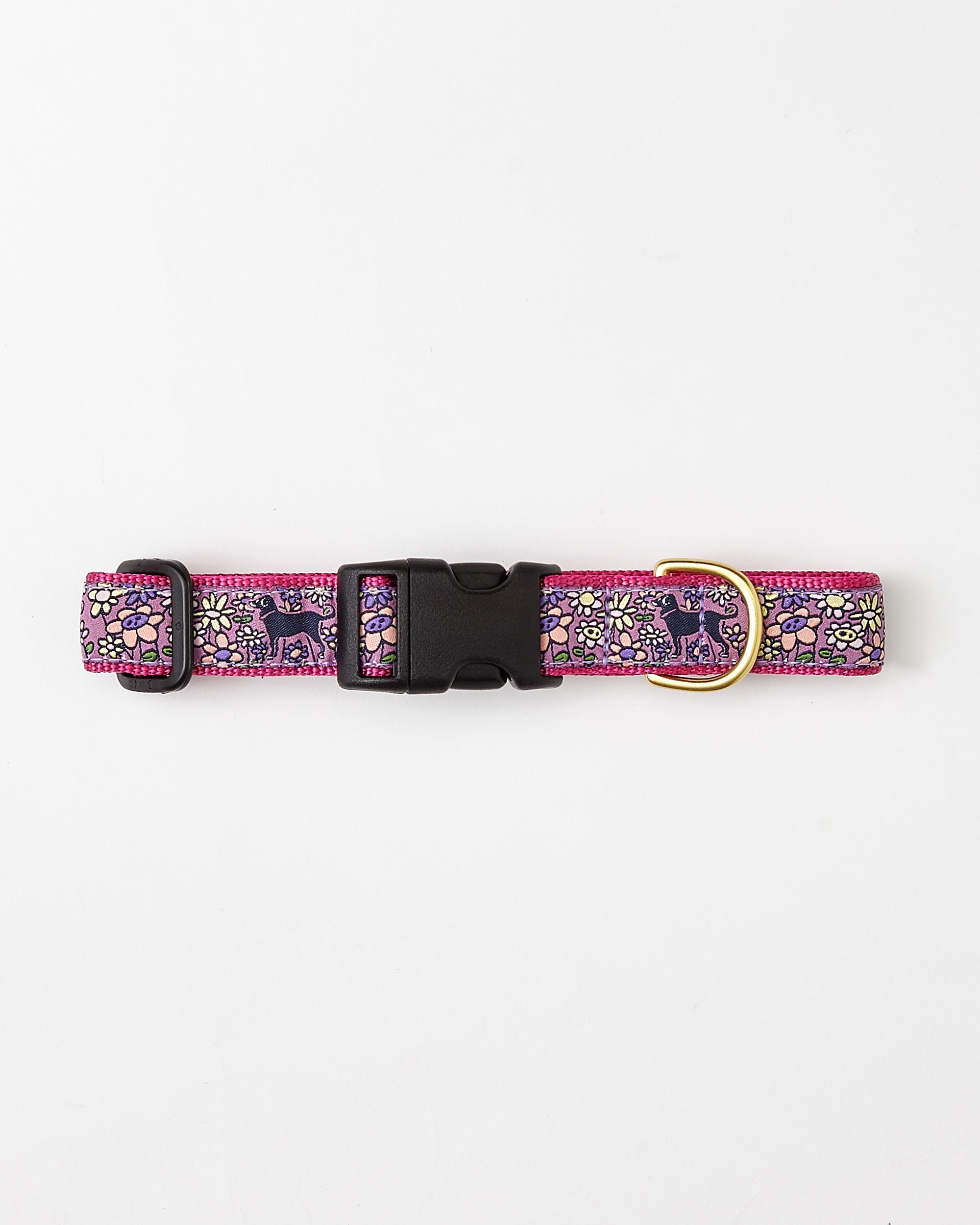 Msdfvs | “In The Daisies” Dog Collar – Stylish Daily Wear, Outdoor Adventures & Social Outings