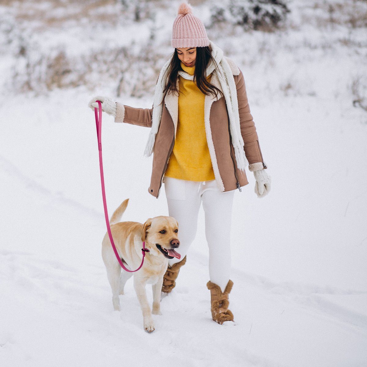 Msdfvs | Biothane Slip Lead for Dogs – 5FT & 7FT Adjustable for Training, Walking & Outdoor Adventures