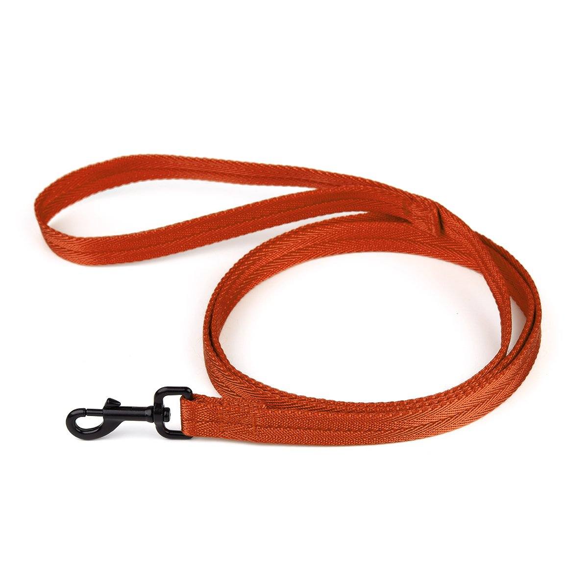 Msdfvs | Nylon Flat Dog Leash for Small & Medium Dogs – Durable Everyday Pet Lead, Comfortable Grip