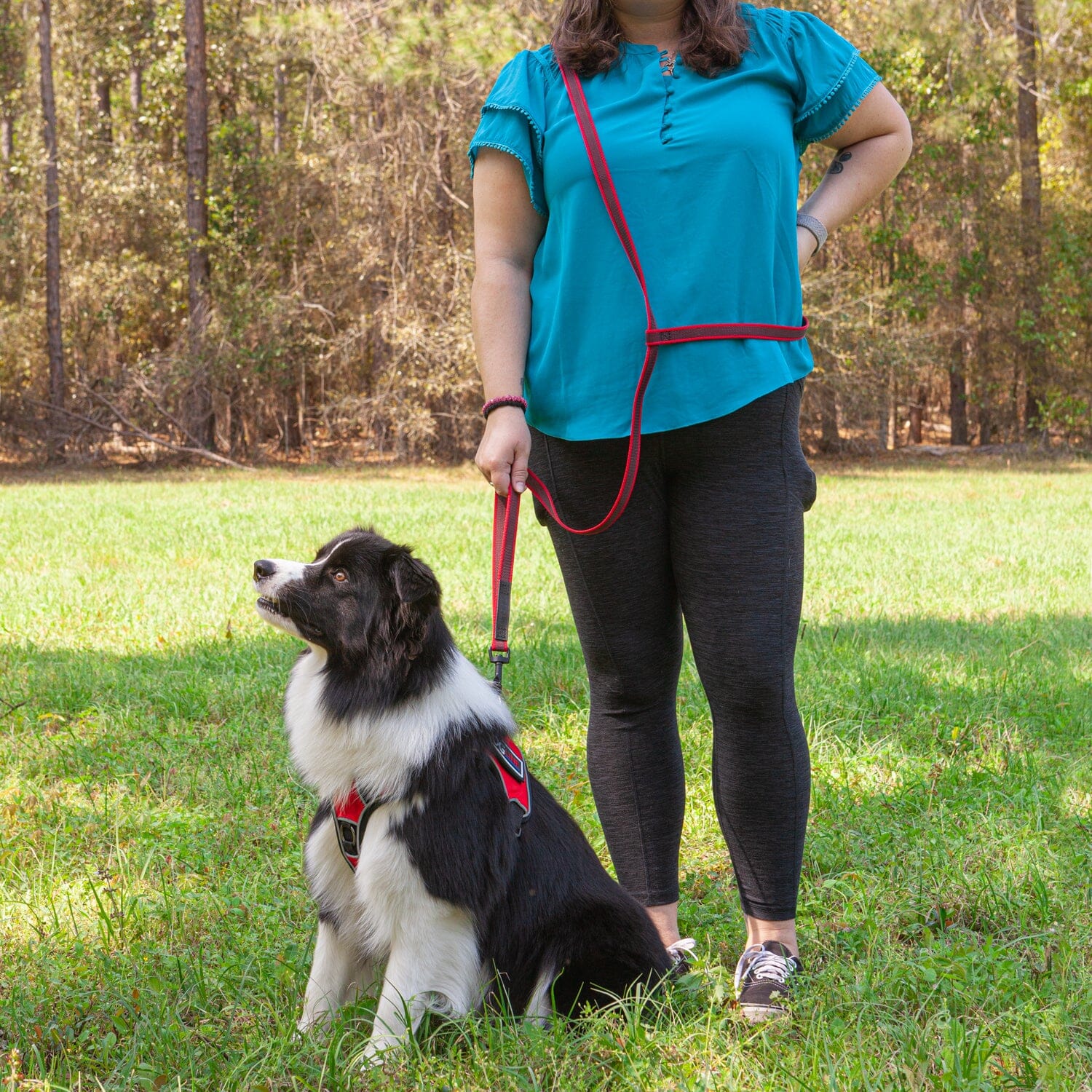 Msdfvs | Rubber-Infused Hands-Free Dog Leash – Walking, Running, Hiking & Outdoor Adventures