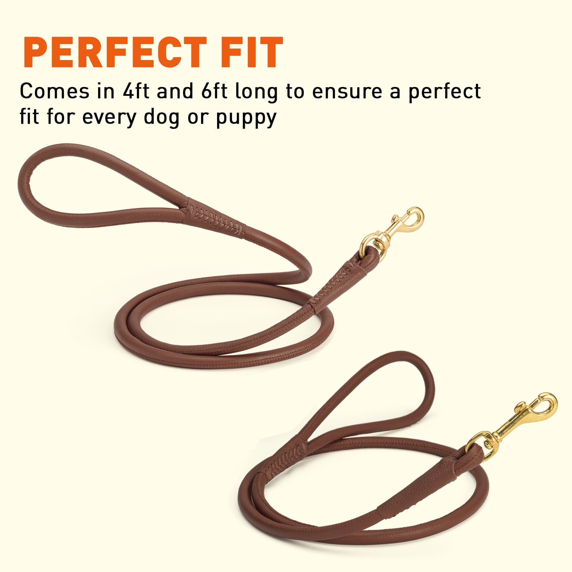 Msdfvs | Rolled Leather Dog Leash with Brass Snap Hook – Urban Strolls, Travel, & Elegant Control