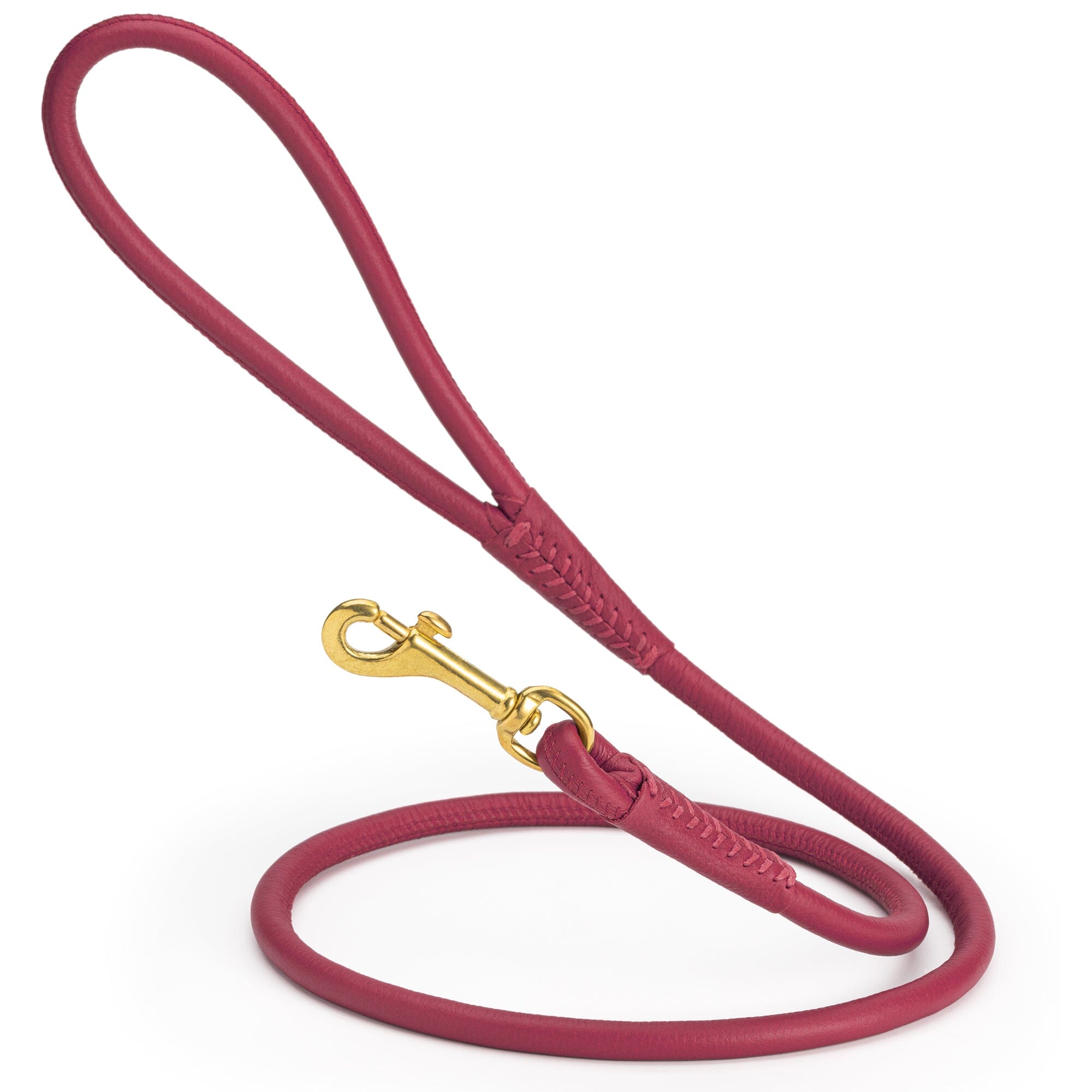 Msdfvs | Rolled Leather Dog Leash with Brass Snap Hook – Urban Strolls, Travel, & Elegant Control