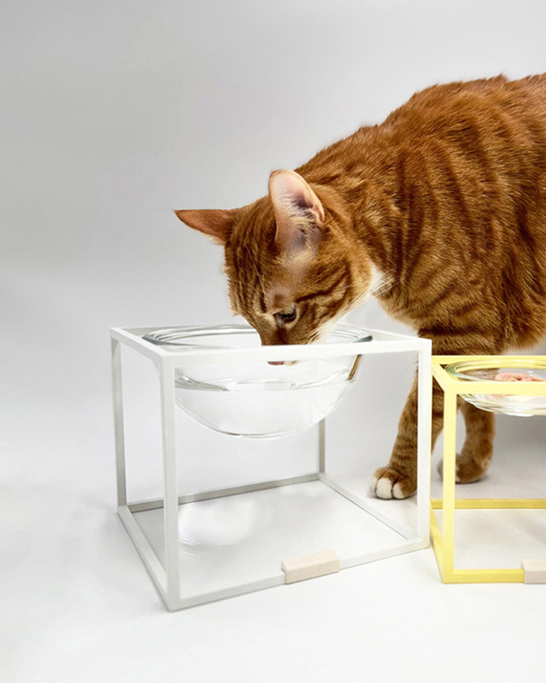 Msdfvs | Compact Pet Dining Set for Small Indoor Feeding Spaces