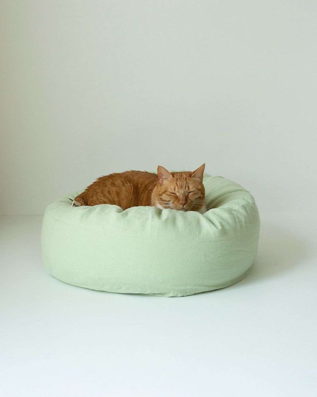 Msdfvs | Mint Tone Pet Pouf Cushion for Everyday Indoor Living Areas