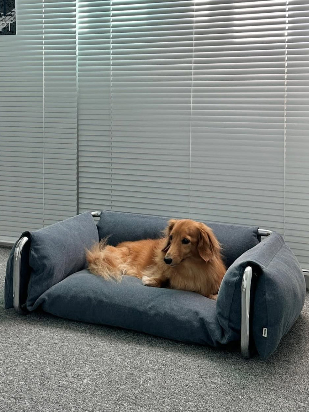 Msdfvs | Low-Profile Pet Lying Bed for Open Indoor Floor Areas