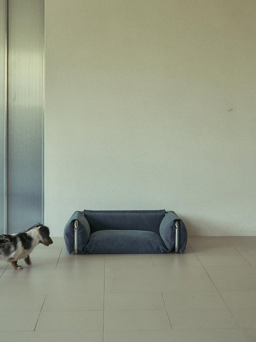 Msdfvs | Low-Profile Pet Lying Bed for Open Indoor Floor Areas