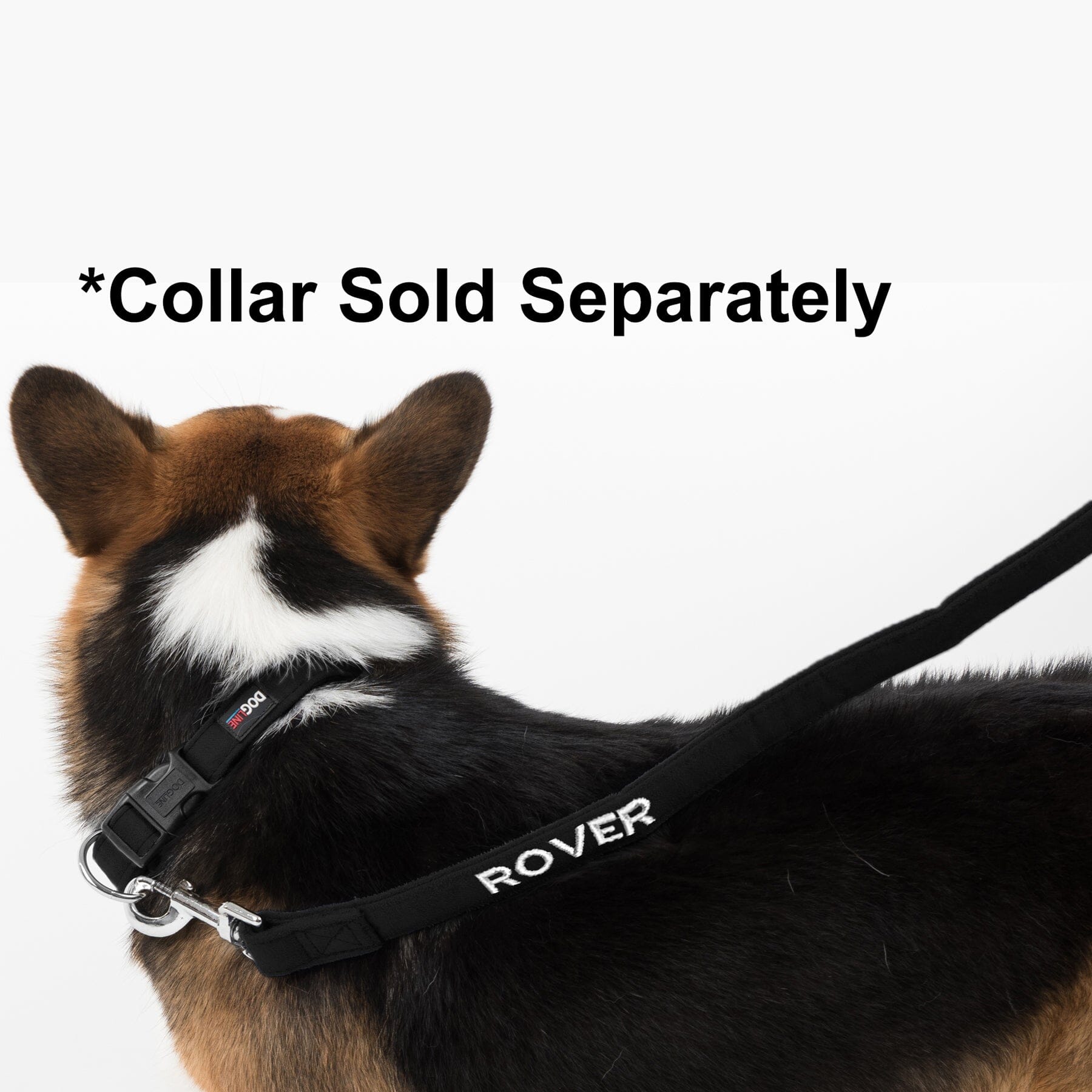 Msdfvs | Microfiber Flat Dog Leash – Urban Walks, Travel Adventures & Training Companion