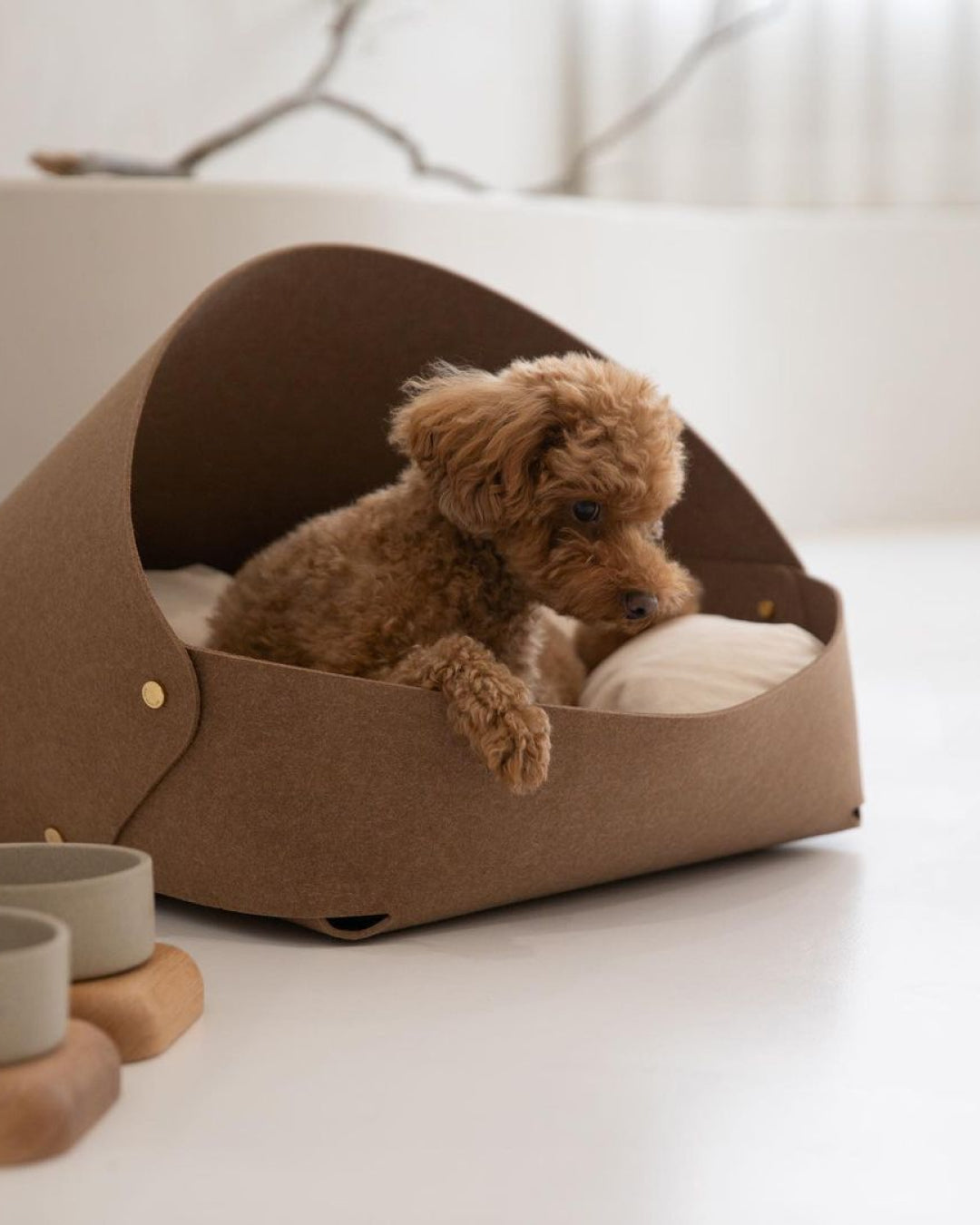 Msdfvs | Brown Pet Bed for Defined Indoor Resting Zones