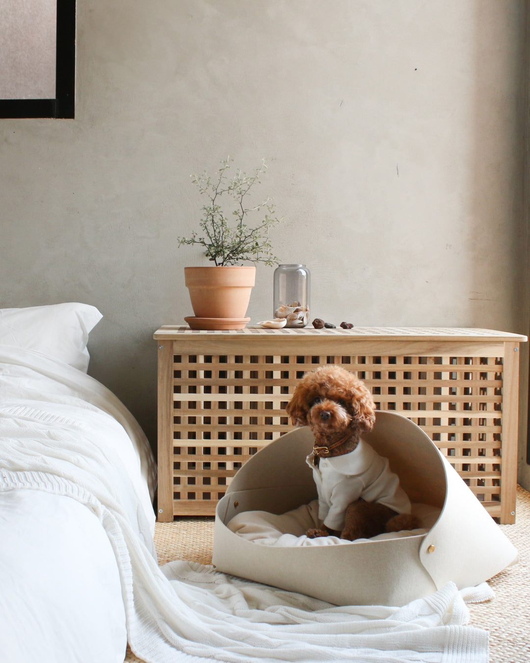 Msdfvs | Oatmeal Tone Pet Bed for Light Indoor Resting Areas