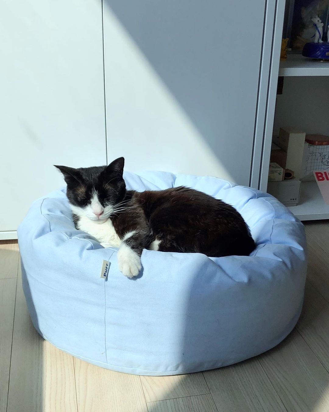 Msdfvs | Sky Blue Pet Pouf Cushion for Open Indoor Living Spaces