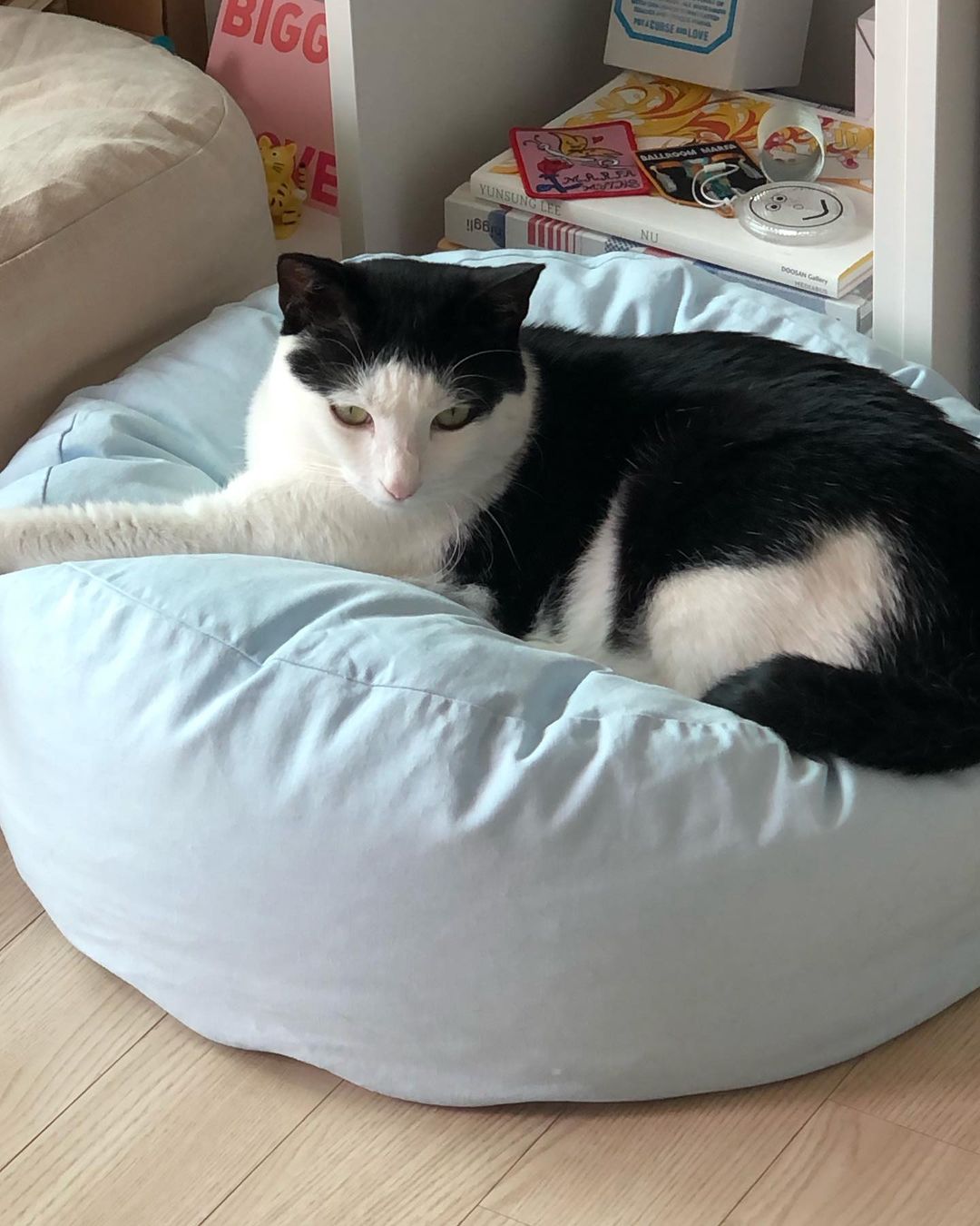 Msdfvs | Sky Blue Pet Pouf Cushion for Open Indoor Living Spaces