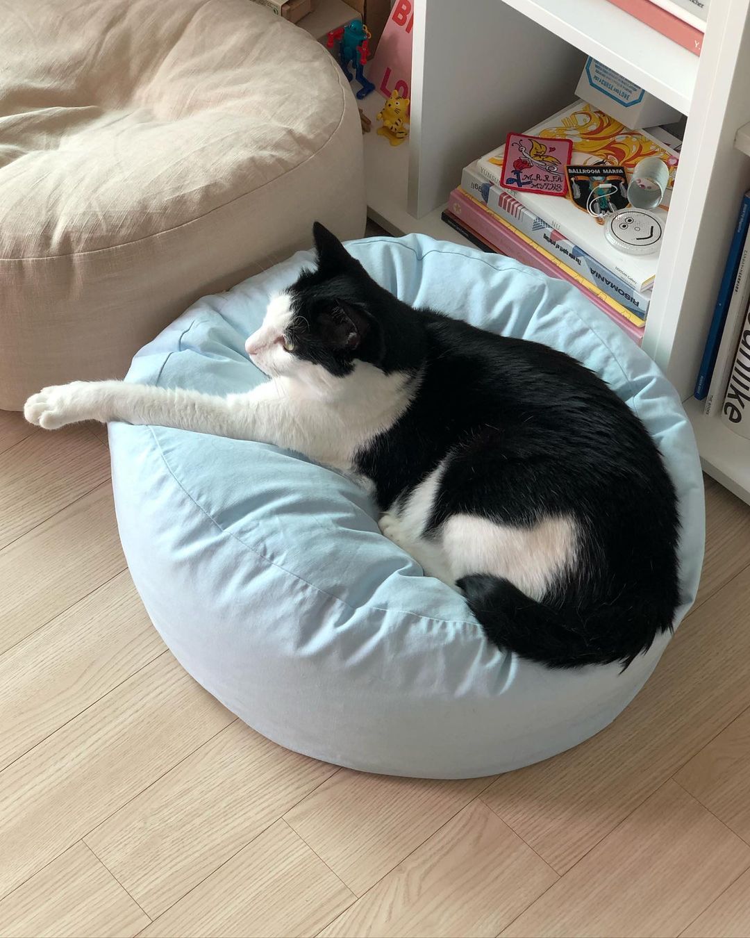 Msdfvs | Sky Blue Pet Pouf Cushion for Open Indoor Living Spaces