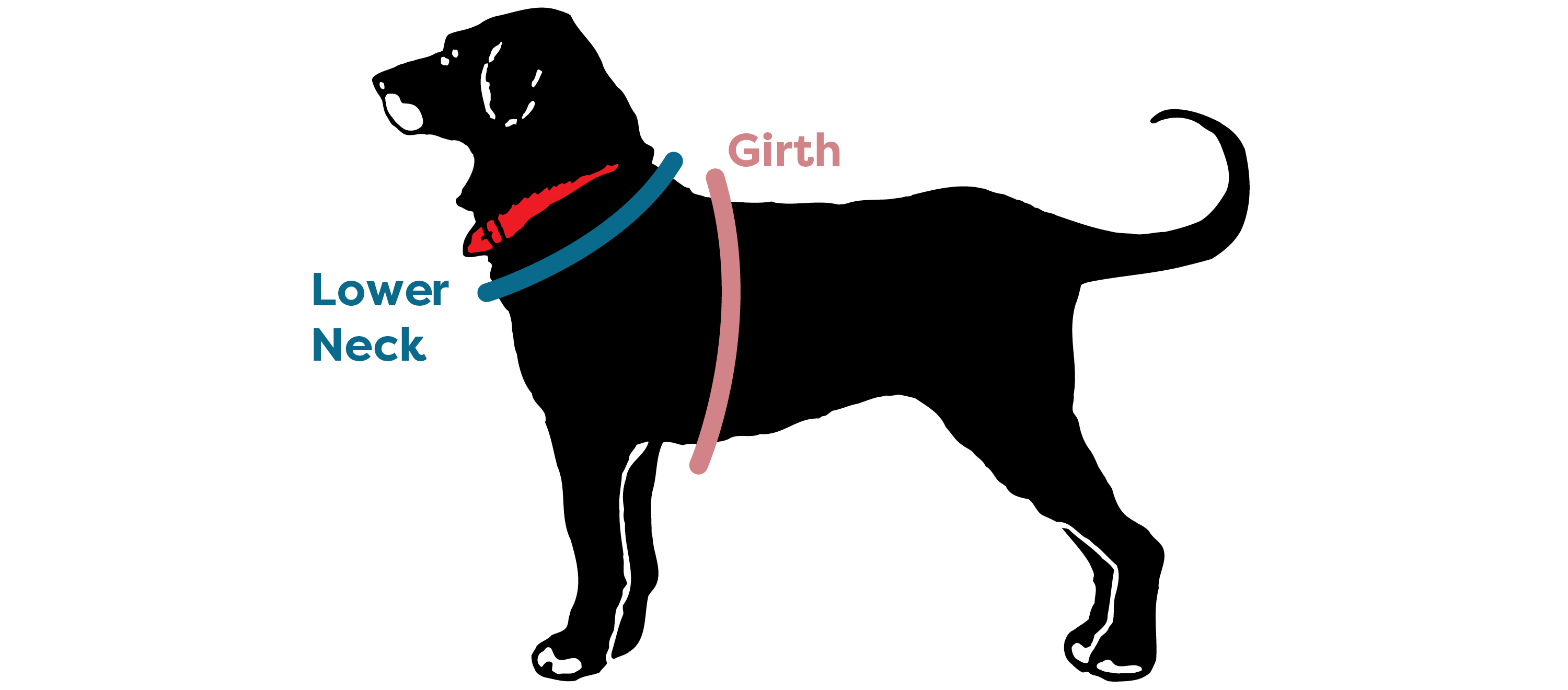 Msdfvs | Tropical-Print Dog Tee for Small & Medium Dogs – Comfortable Casual Pet Shirt, Easy-Care