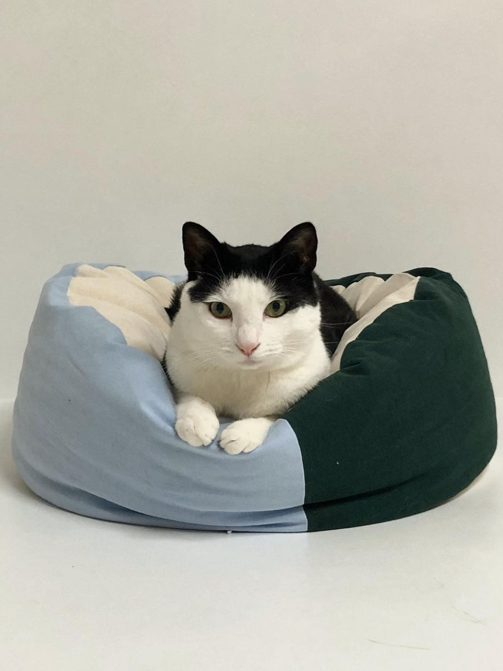 Msdfvs | Sky Green Pet Pouf Cushion for Casual Indoor Pet Areas