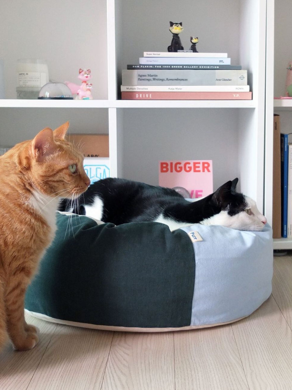 Msdfvs | Sky Green Pet Pouf Cushion for Casual Indoor Pet Areas