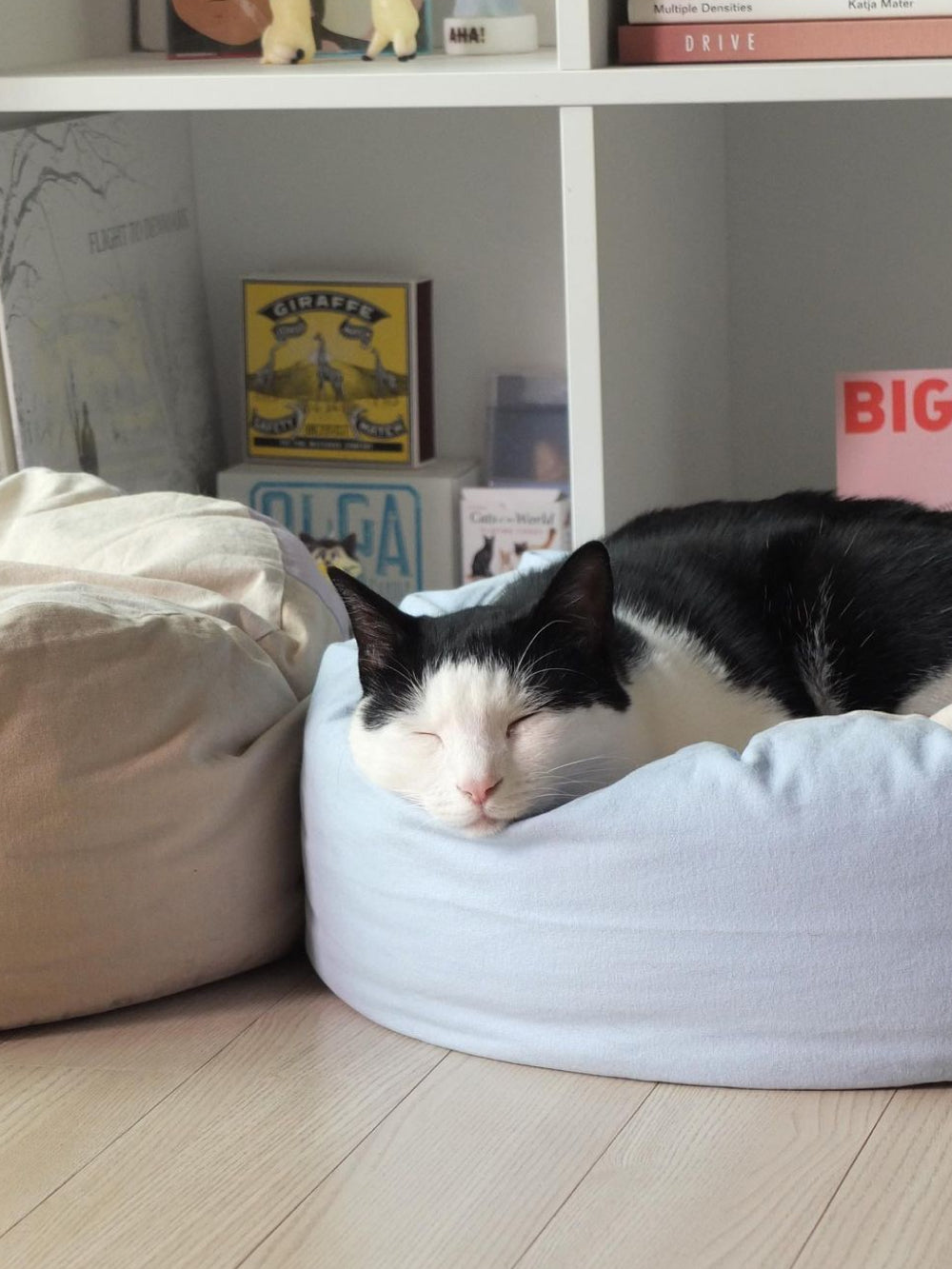 Msdfvs | Sky Blue Pet Pouf Cushion for Open Indoor Living Spaces