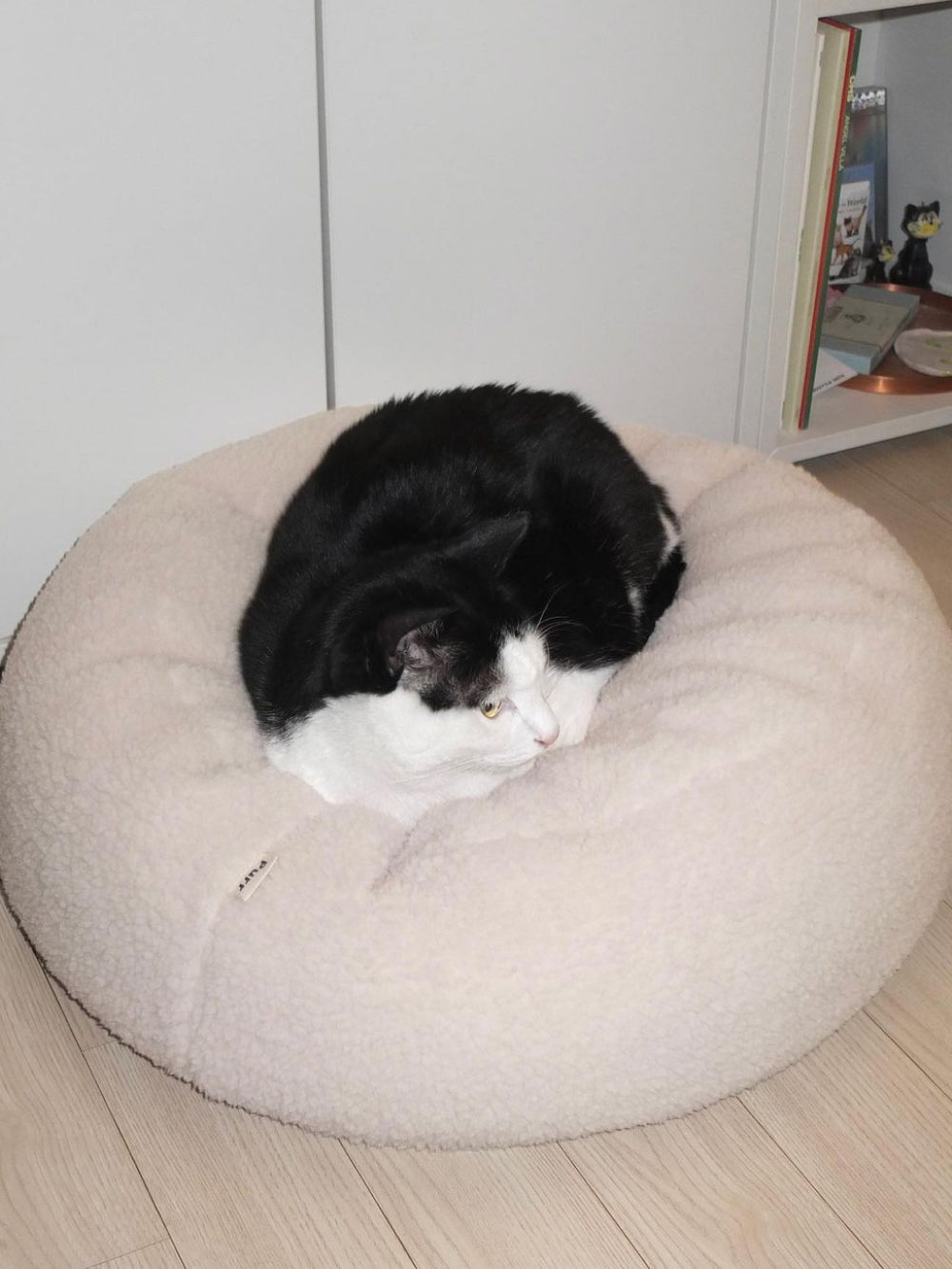 Msdfvs | Sherpa Surface Pet Pouf Cushion for Textured Indoor Spaces