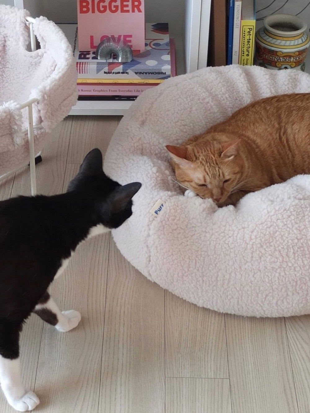 Msdfvs | Sherpa Surface Pet Pouf Cushion for Textured Indoor Spaces