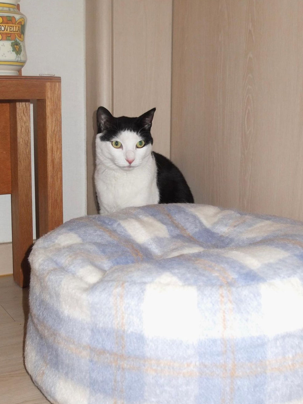 Msdfvs | Plaid Pattern Pet Pouf Cushion for Defined Indoor Pet Zones