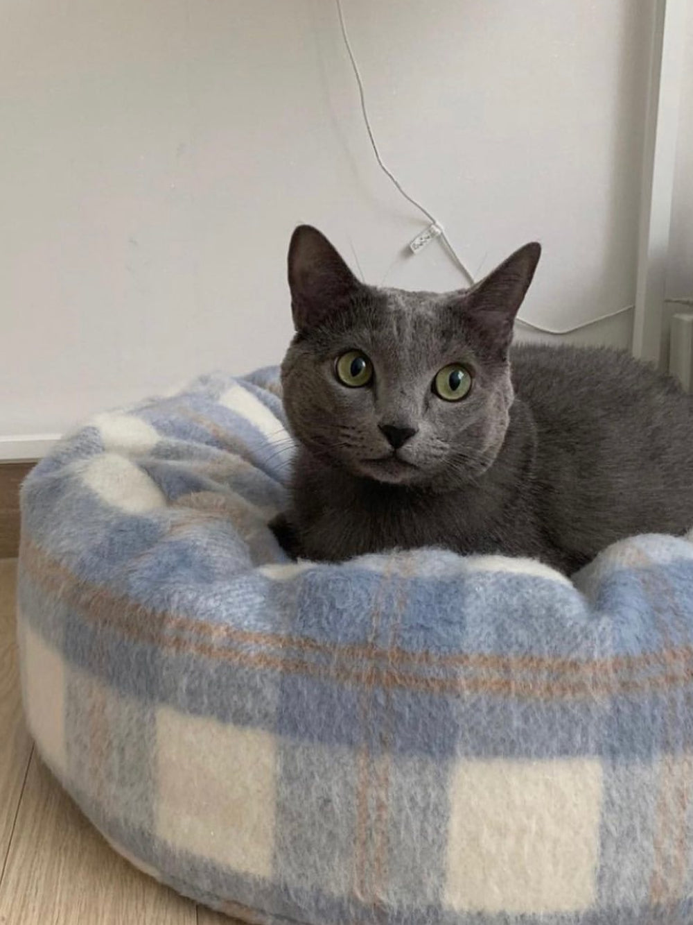 Msdfvs | Plaid Pattern Pet Pouf Cushion for Defined Indoor Pet Zones