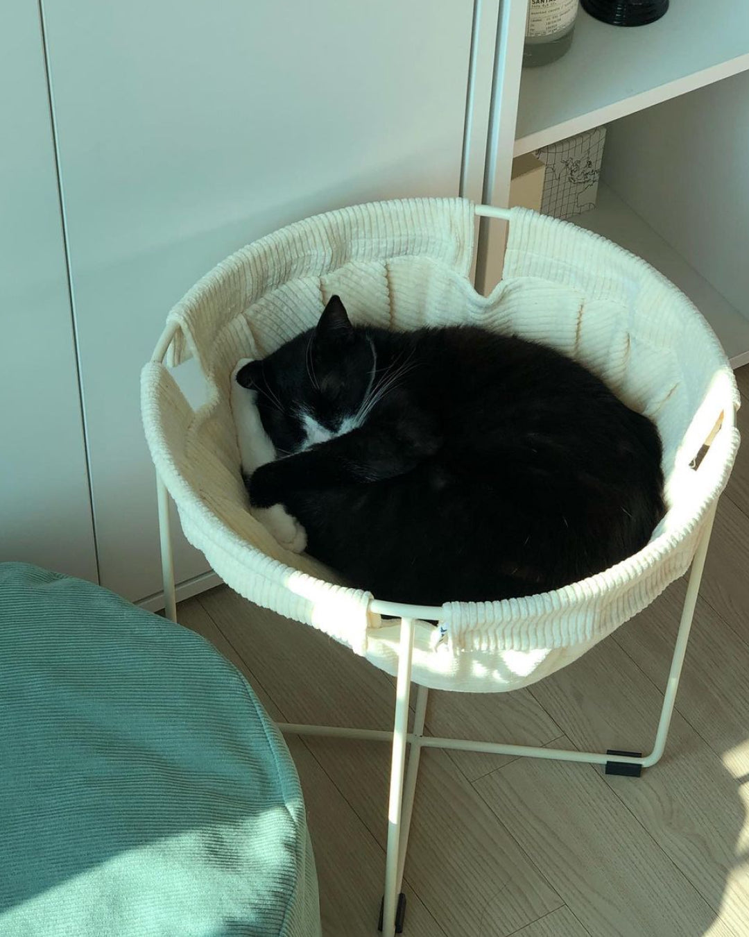 Msdfvs | Corduroy Surface Pet Hammock for Textured Indoor Vertical Spaces