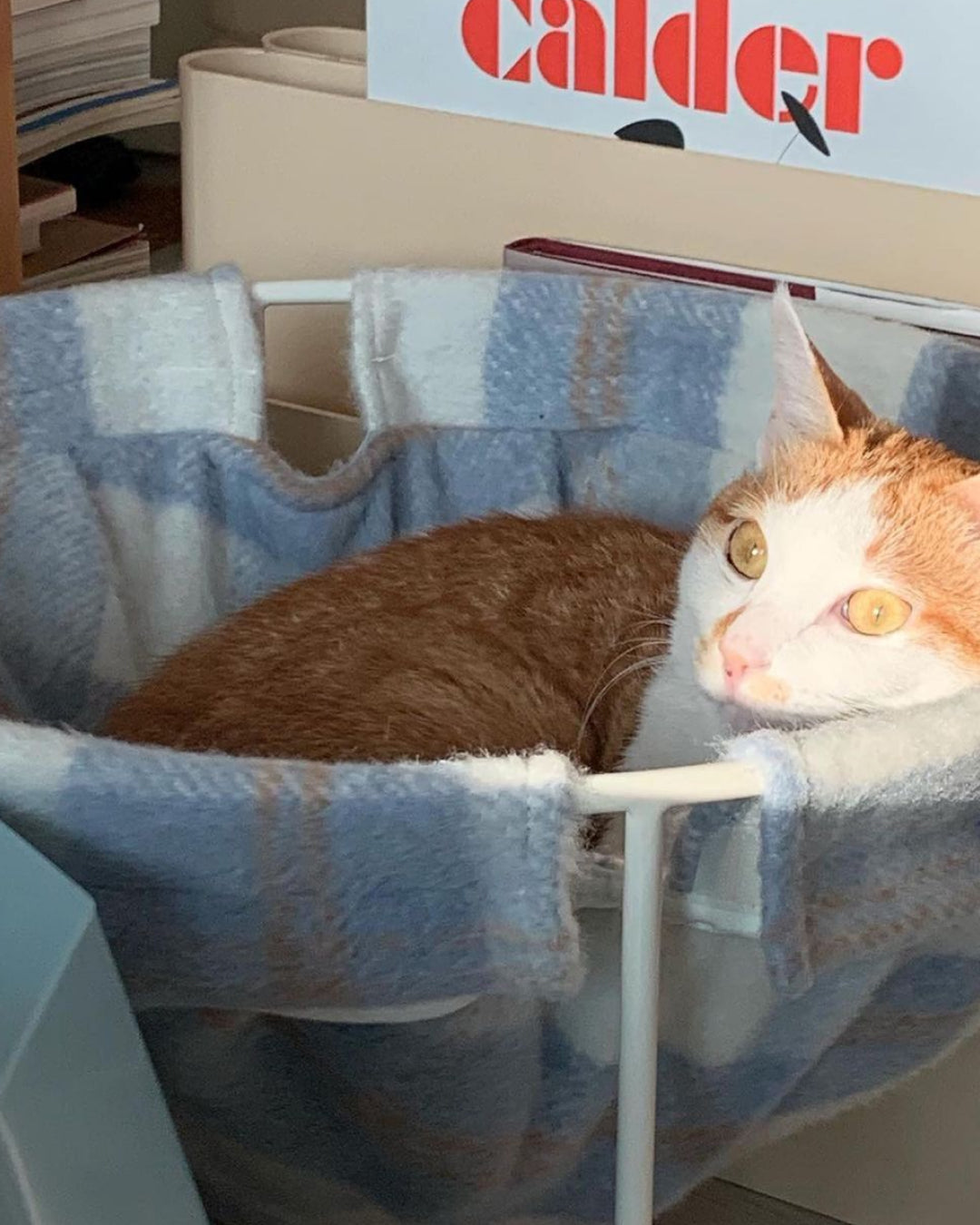 Msdfvs | Plaid Pattern Pet Hammock for Visually Defined Indoor Spaces