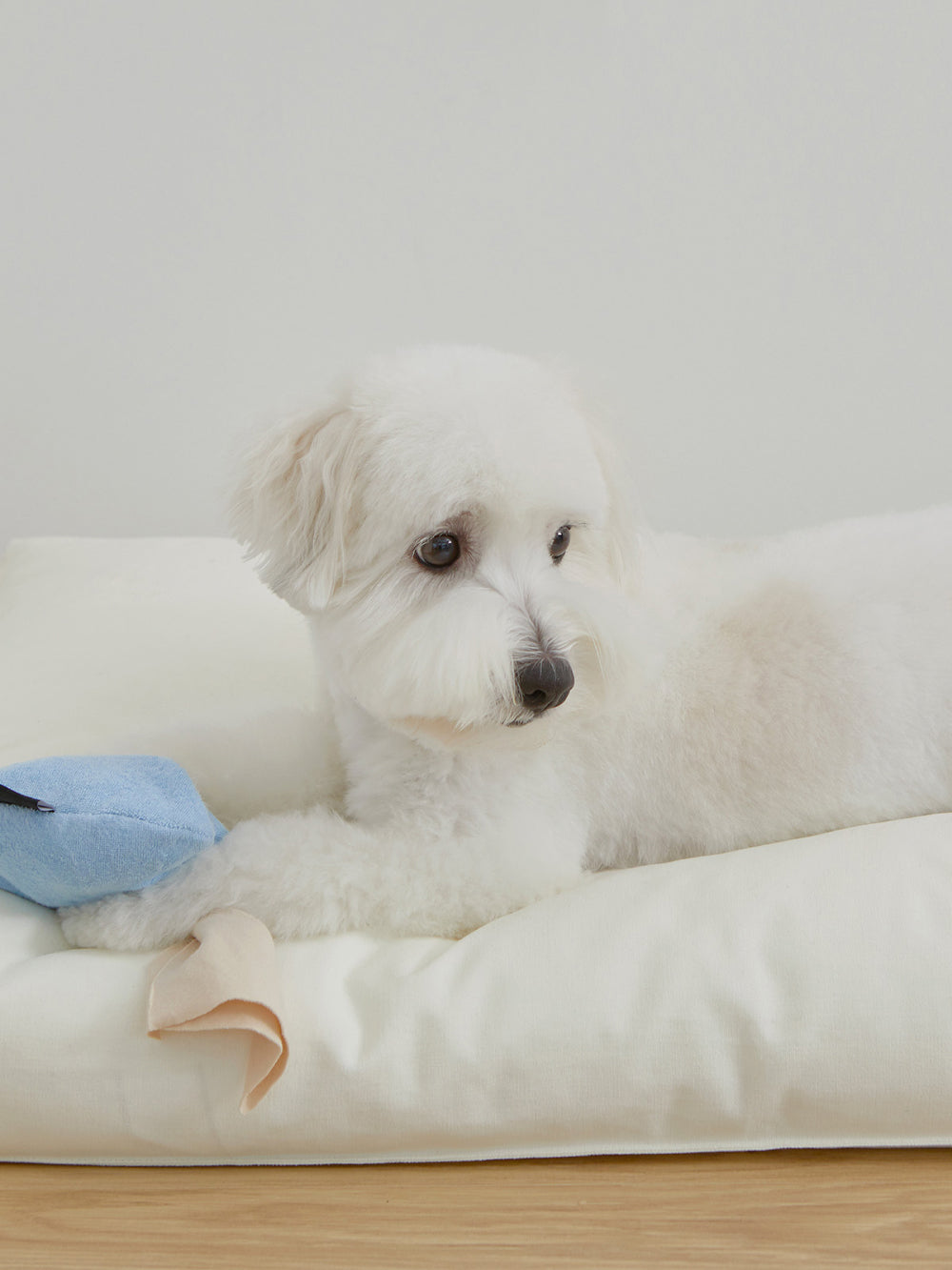 Msdfvs | Cream Tone Pet Bed for Softly Balanced Indoor Spaces