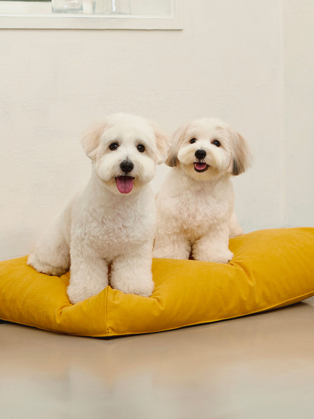 Msdfvs | Mustard Tone Pet Bed for Warmly Defined Indoor Areas