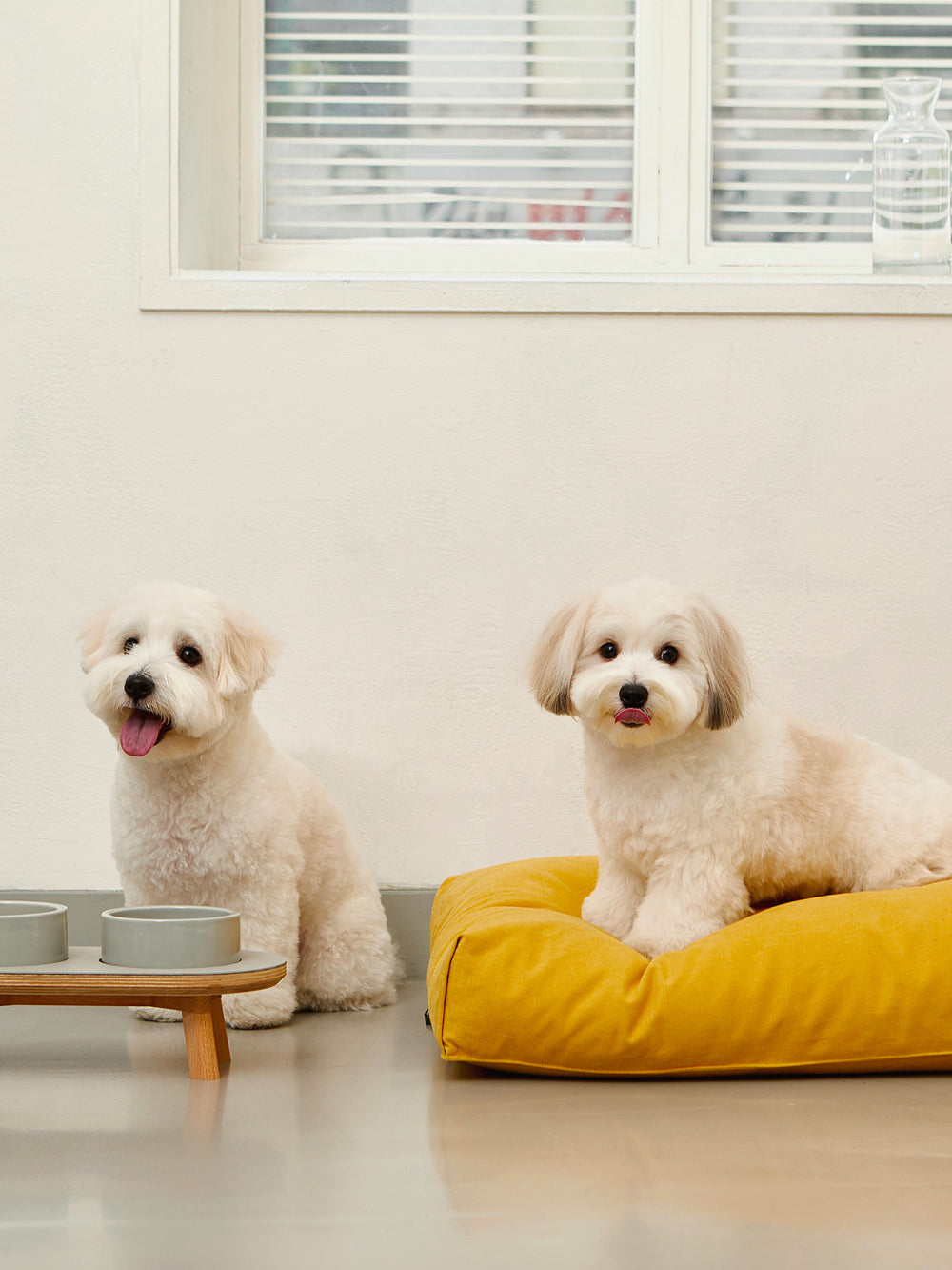 Msdfvs | Mustard Tone Pet Bed for Warmly Defined Indoor Areas